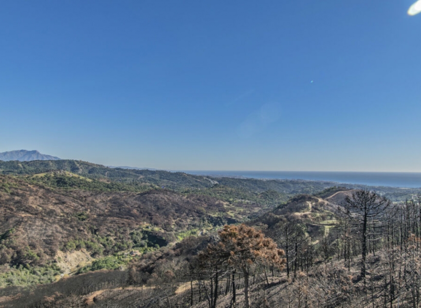 Resale - House -
Estepona