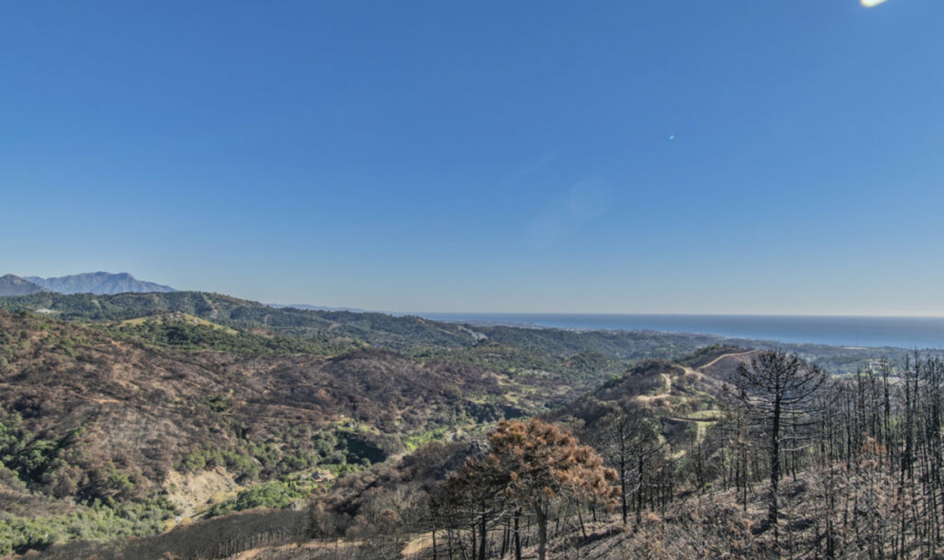 Resale - House -
Estepona