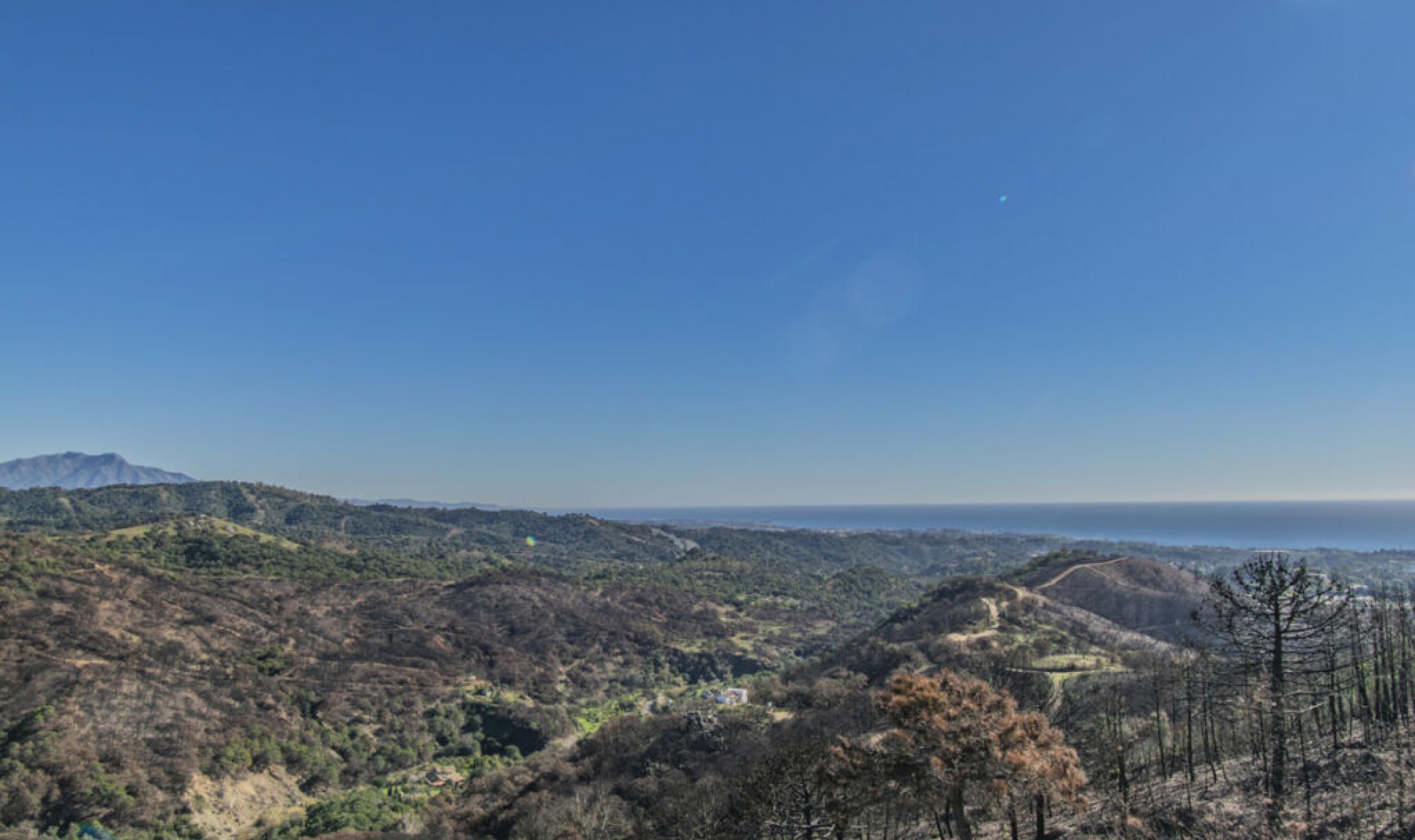 Resale - House -
Estepona