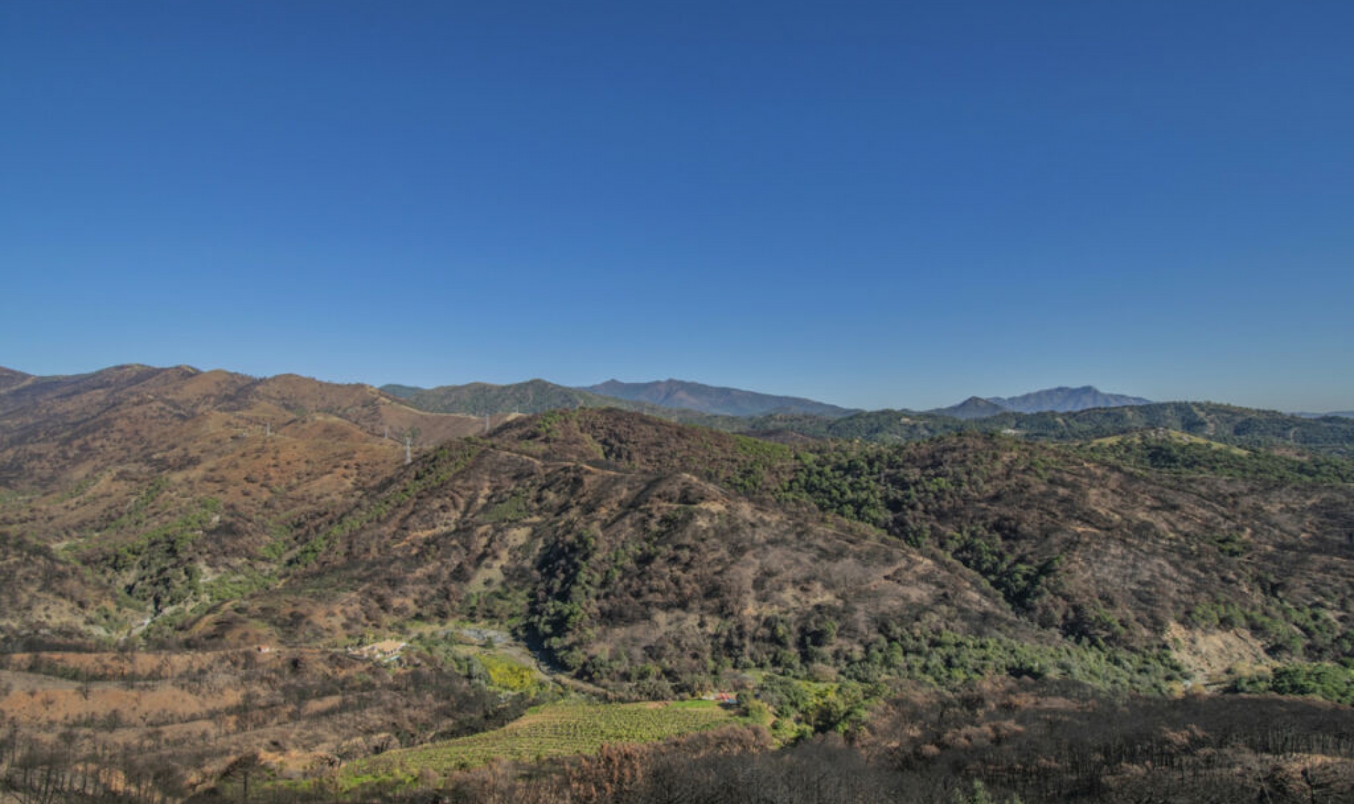 Resale - House -
Estepona