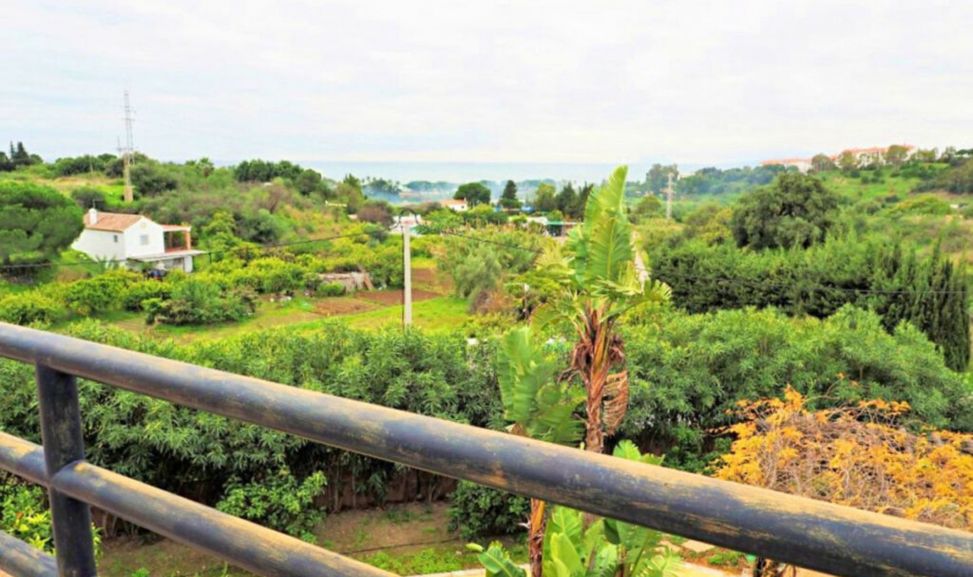 Resale - House -
Estepona