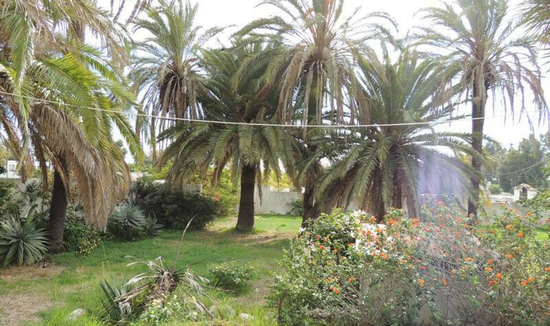 Resale - House -
Estepona