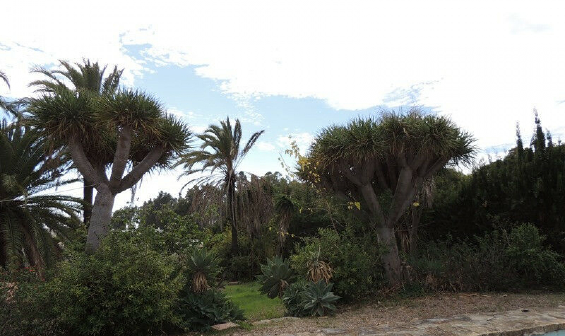 Resale - House -
Estepona