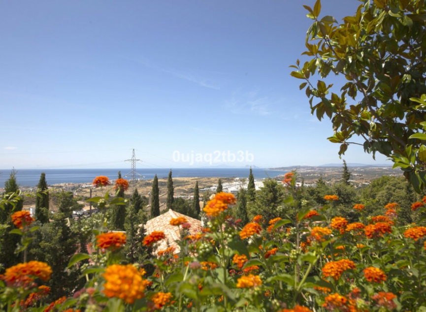 Resale - House -
Estepona