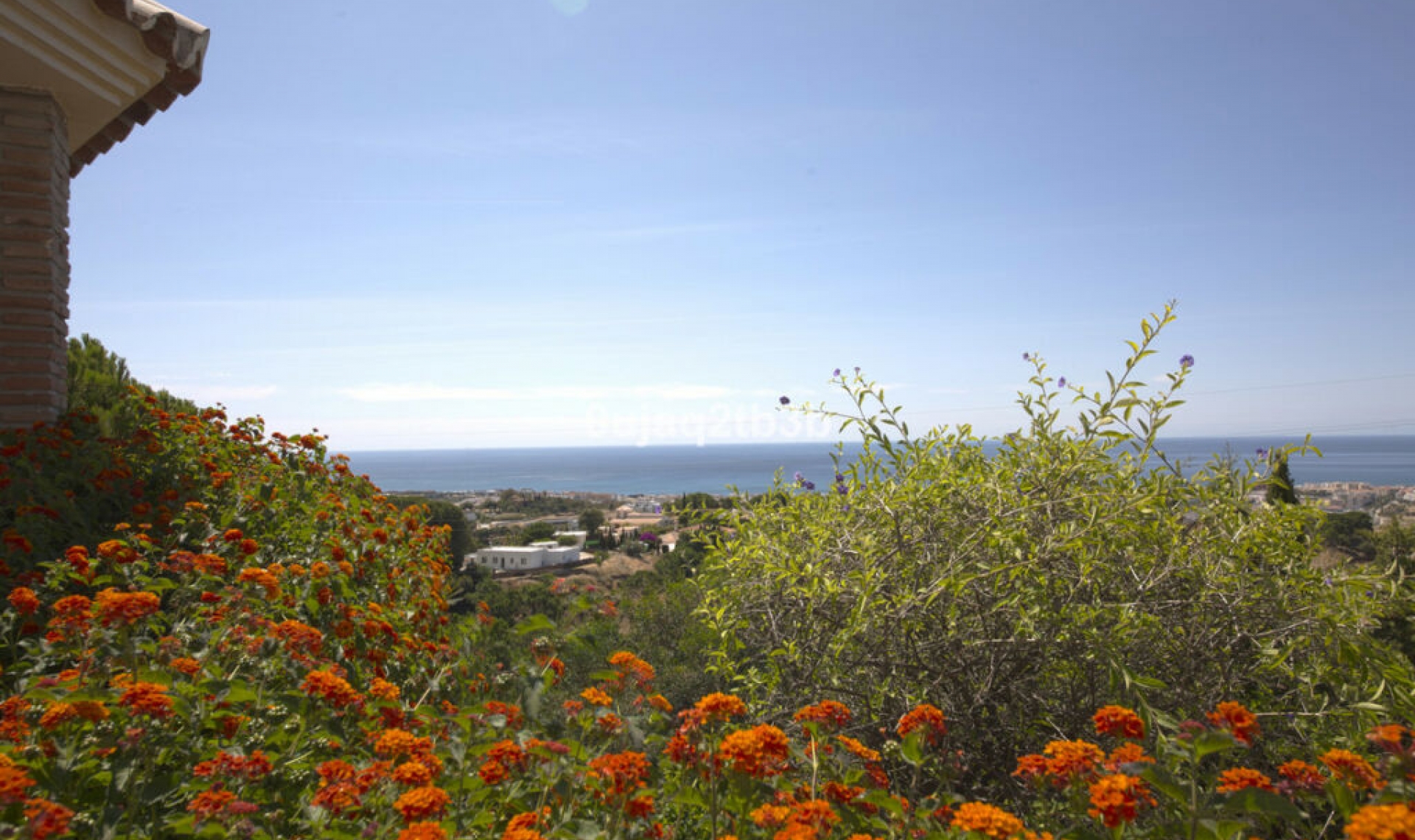 Resale - House -
Estepona