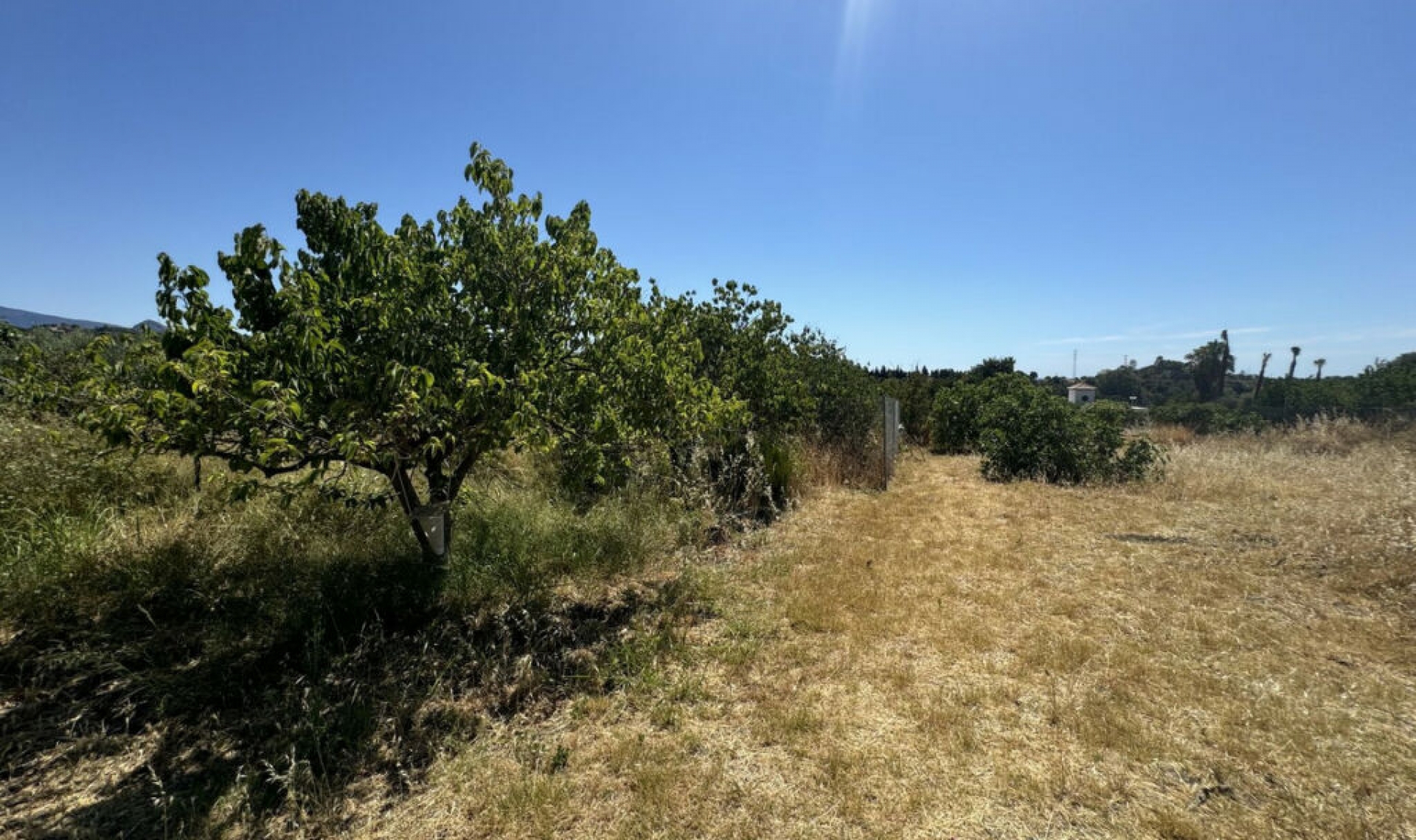 Resale - House -
Estepona