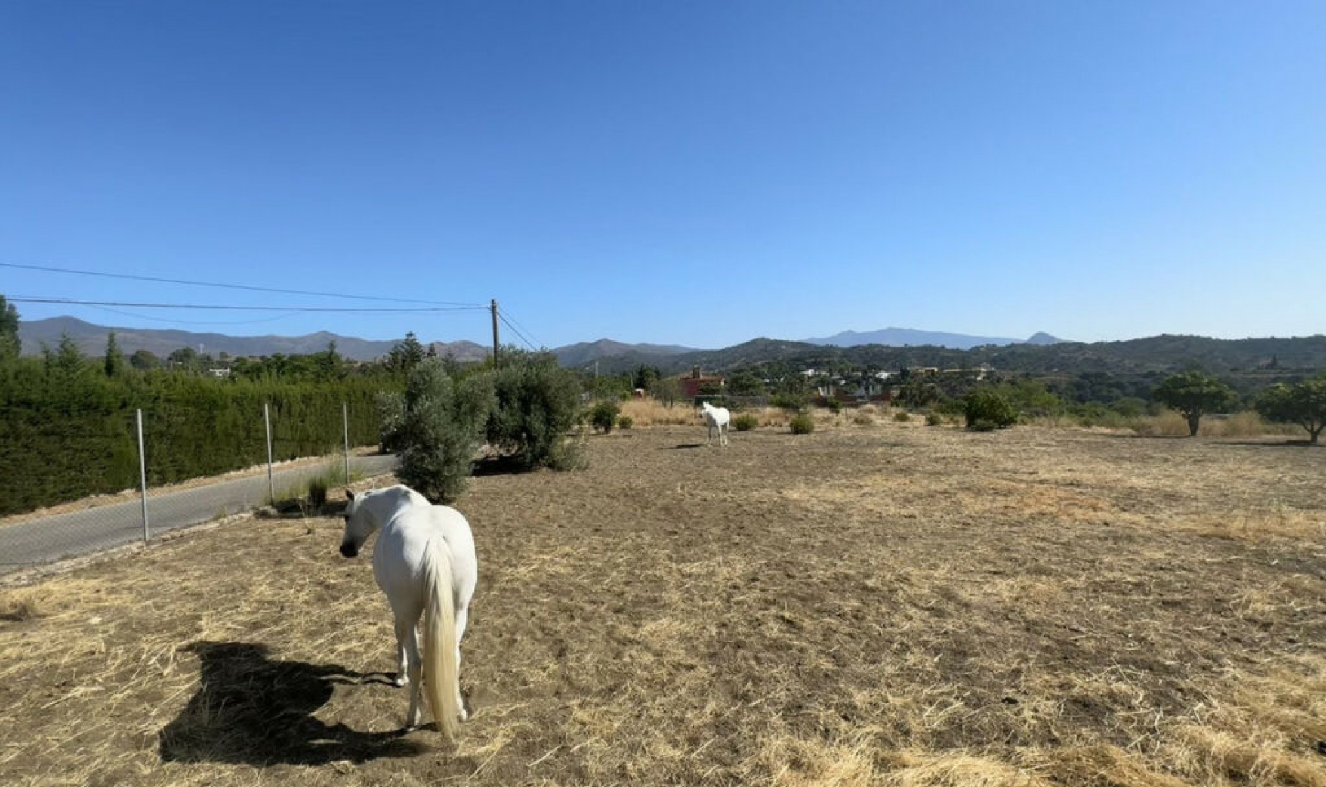 Resale - House -
Estepona