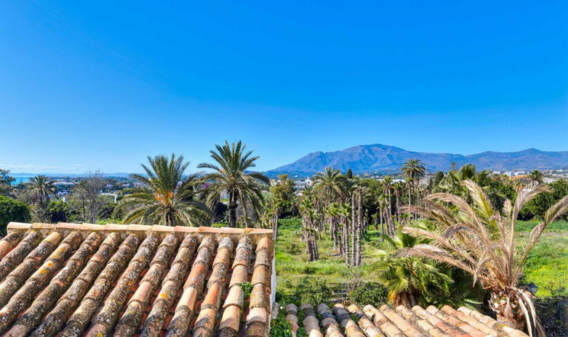 Resale - House -
Estepona