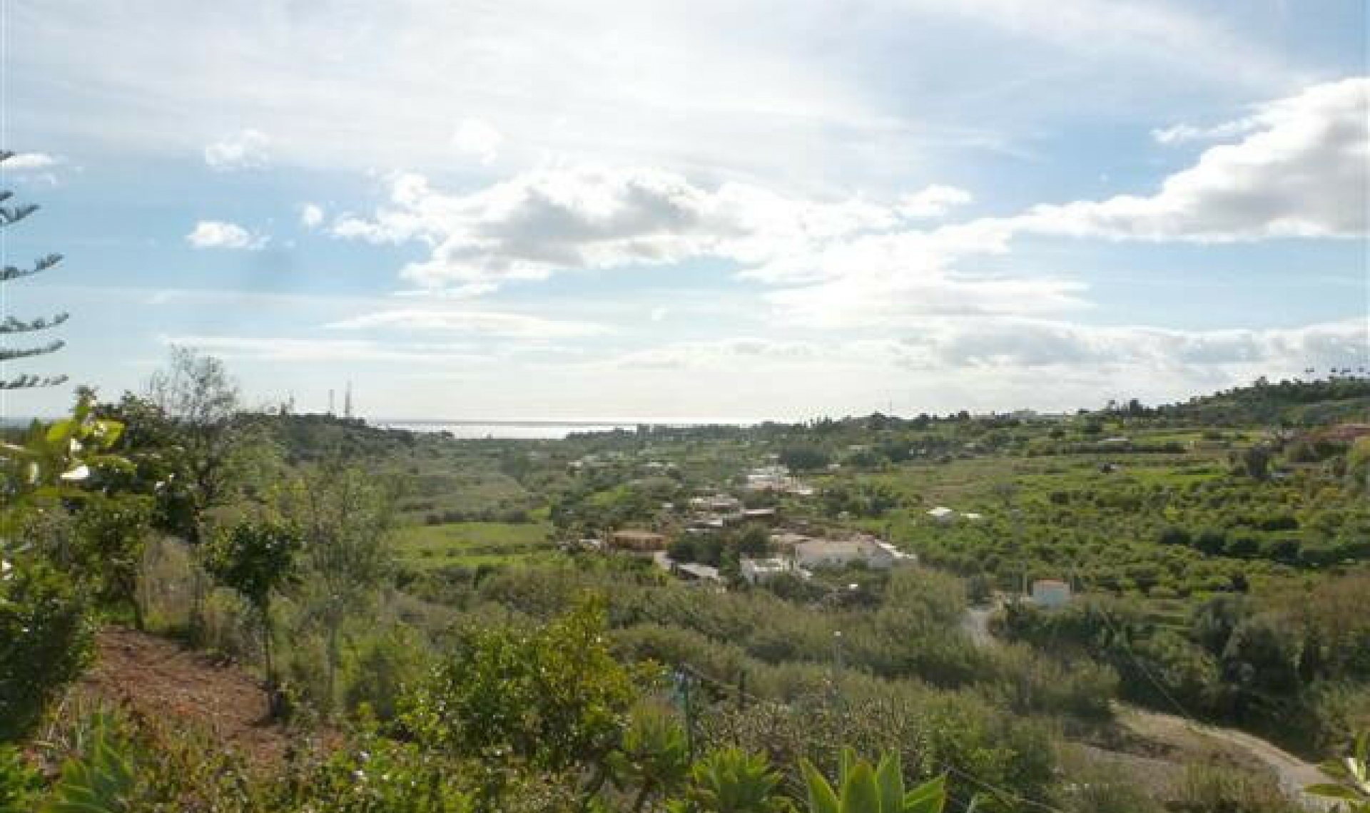 Resale - House -
Estepona