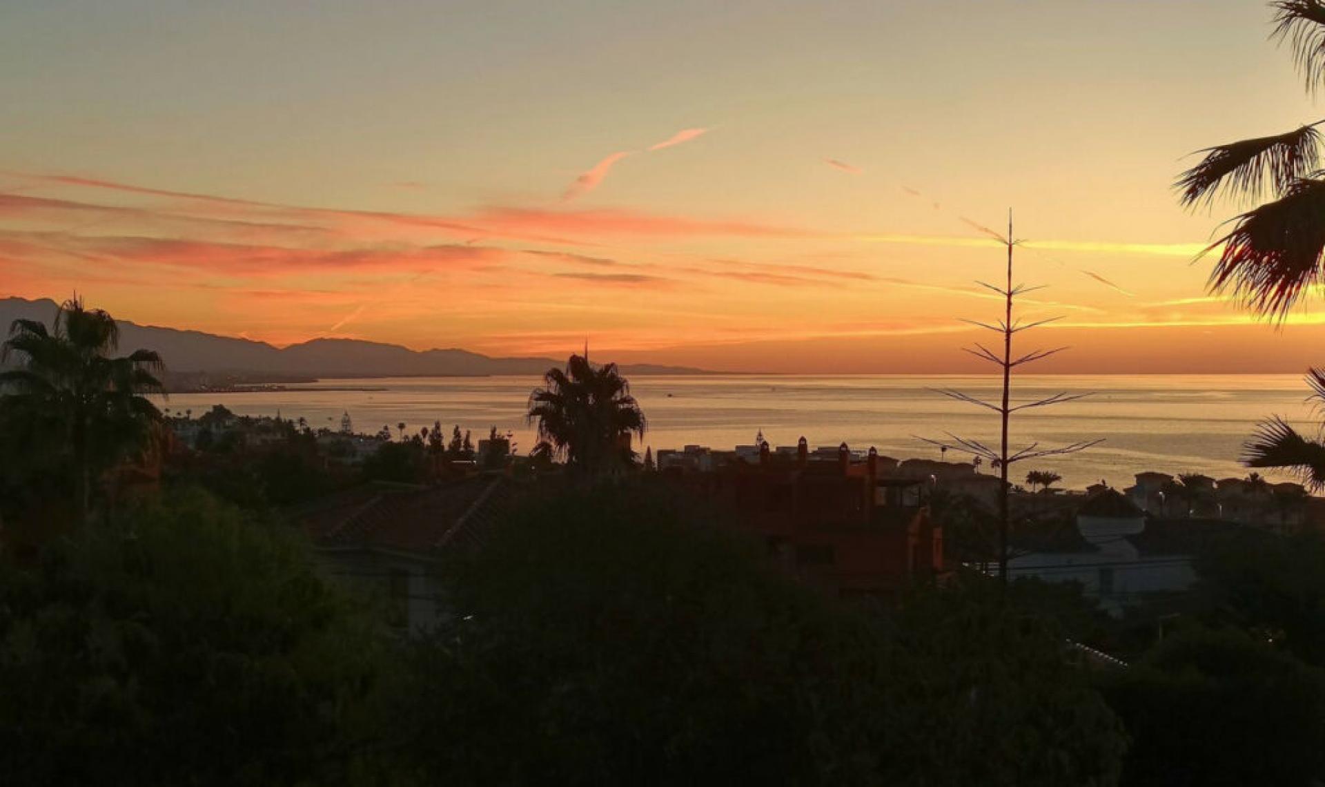 Resale - House -
Estepona