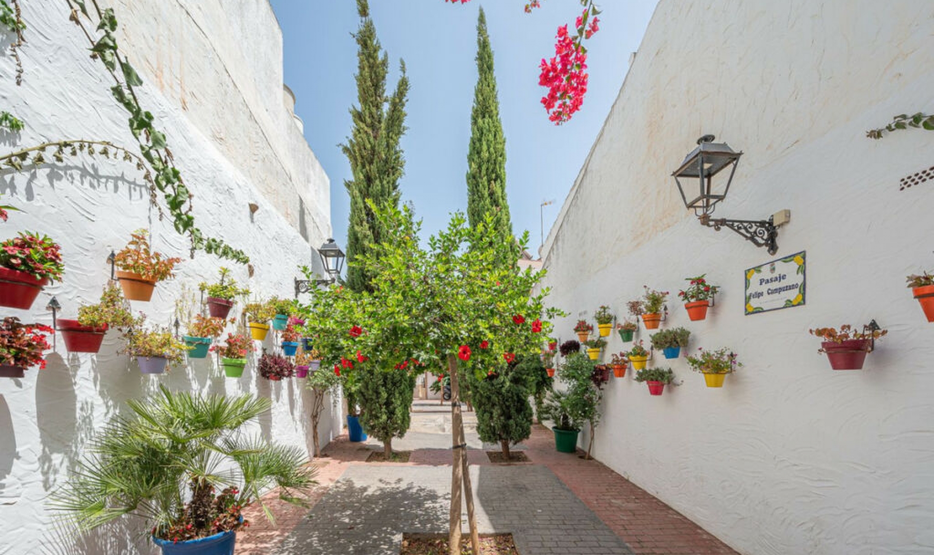 Resale - House -
Estepona