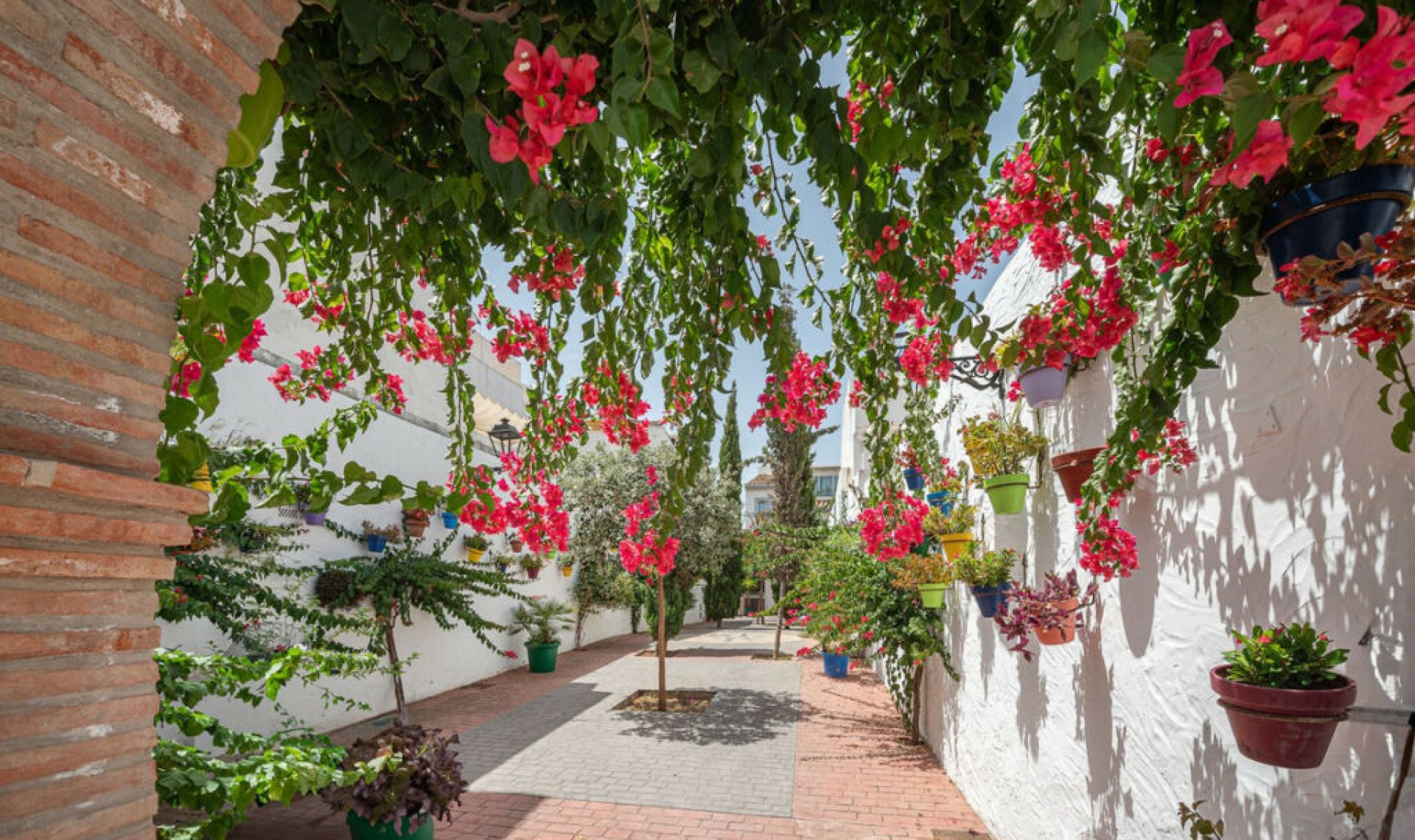 Resale - House -
Estepona