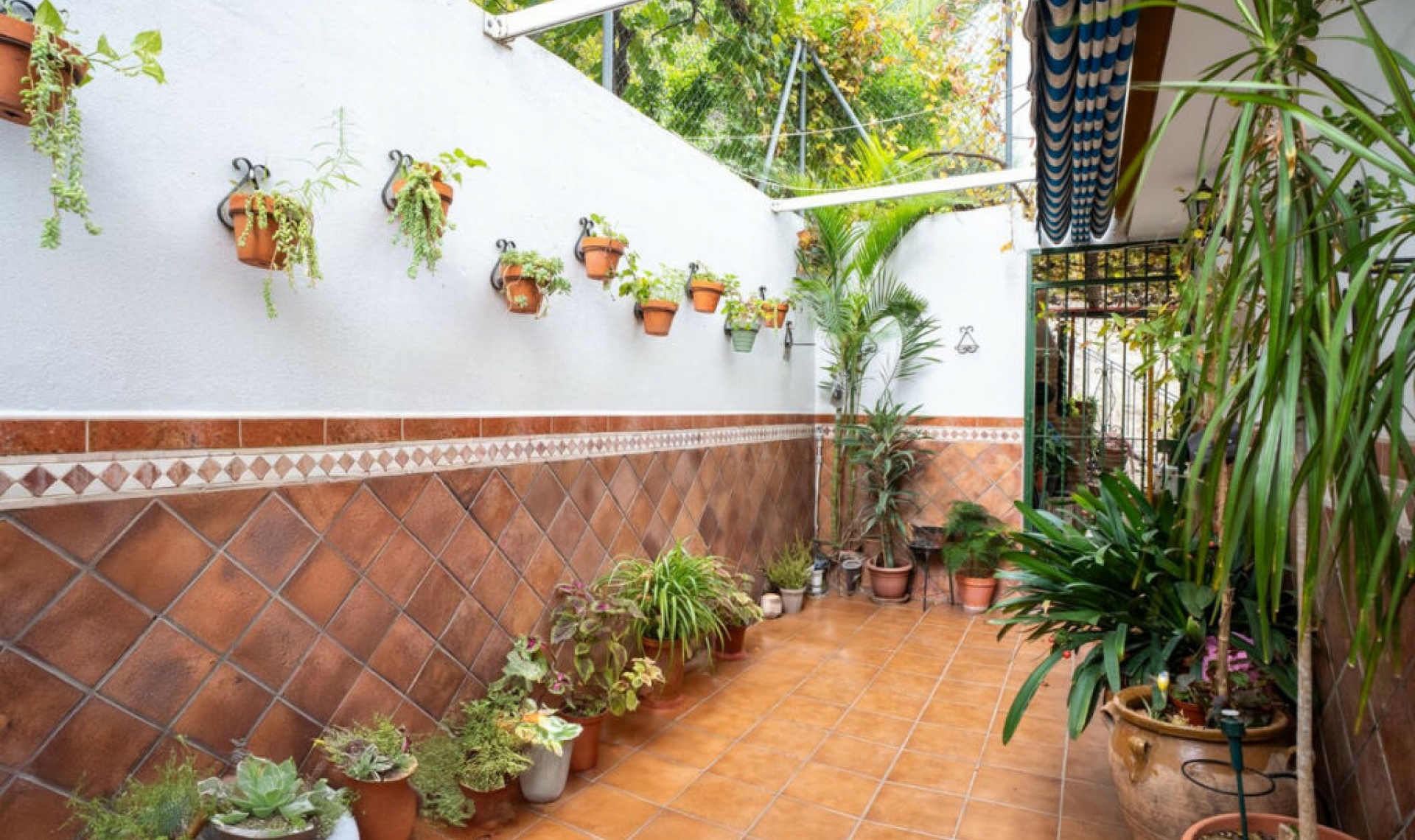 Resale - House -
Estepona