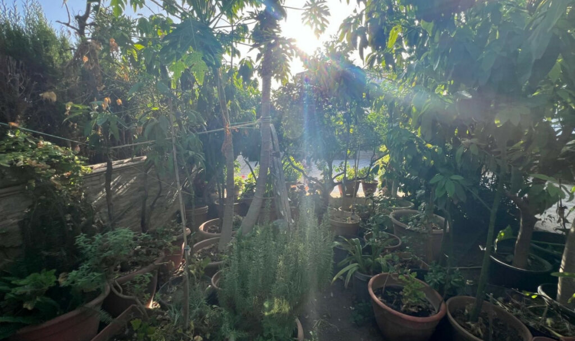 Resale - House -
Estepona