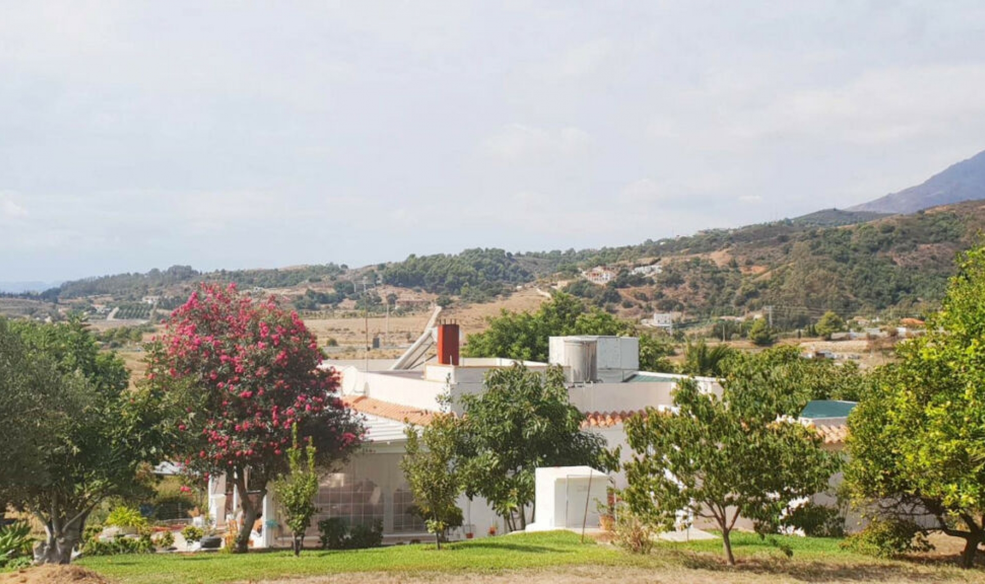 Resale - House -
Estepona