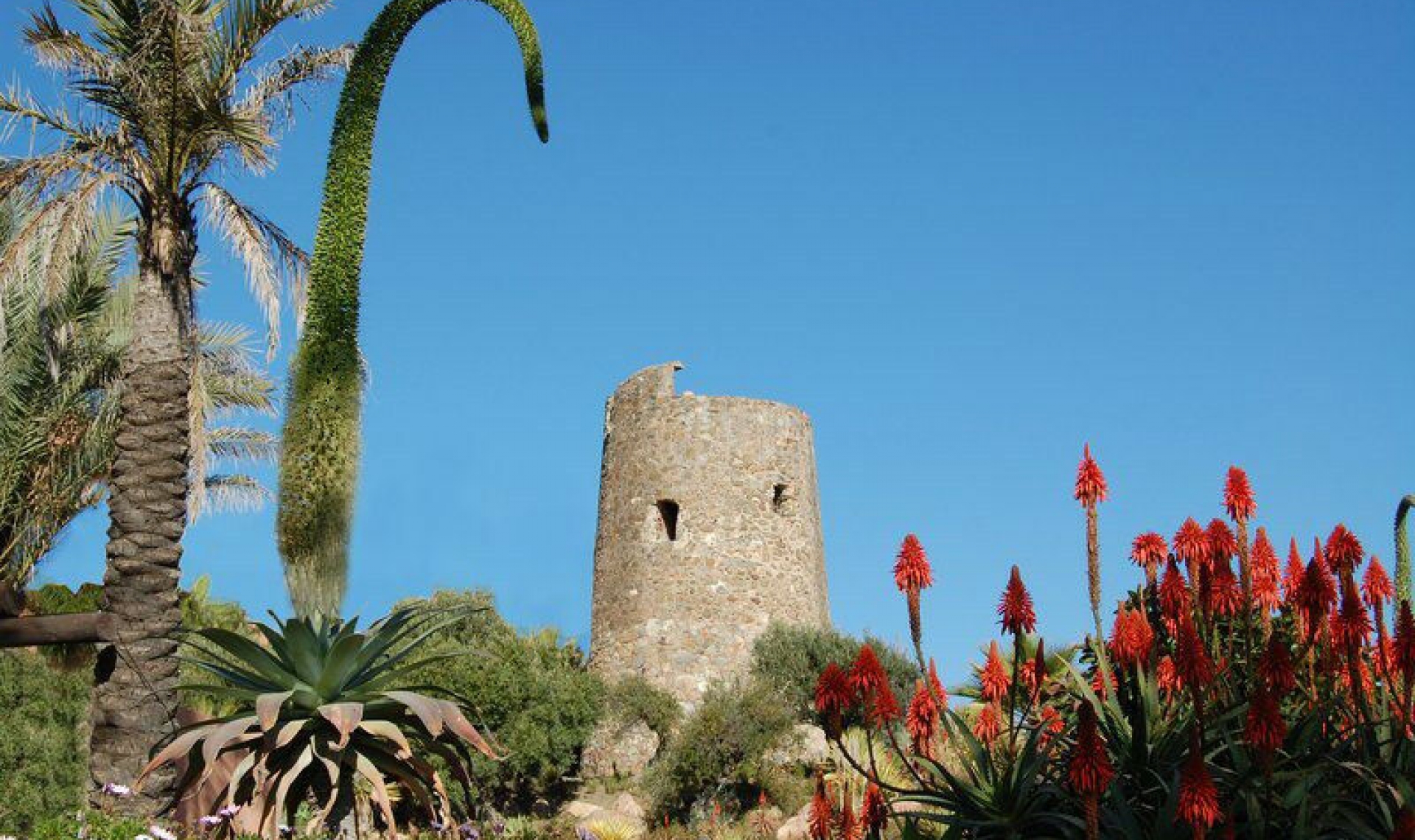 Resale - House -
Estepona