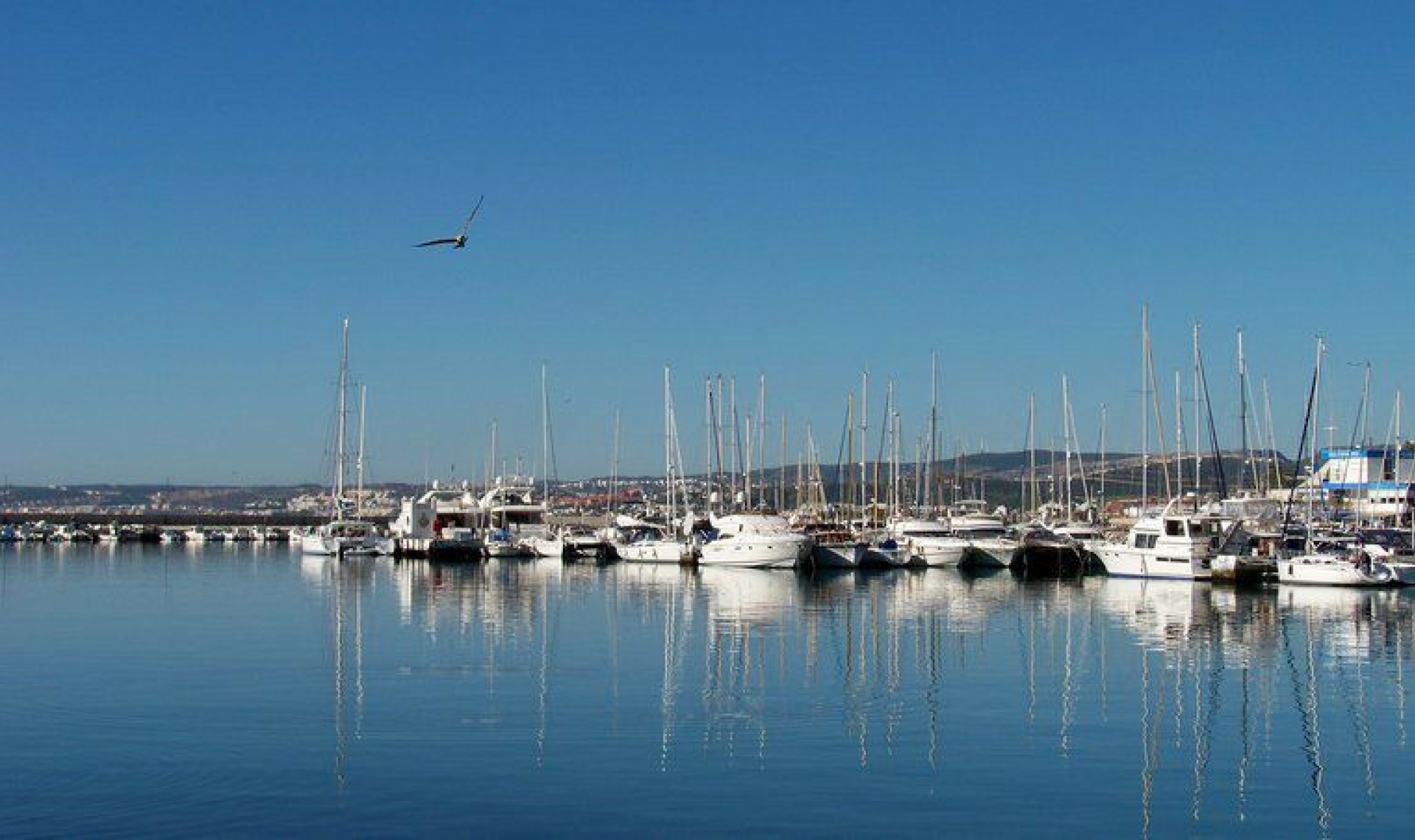 Resale - House -
Estepona