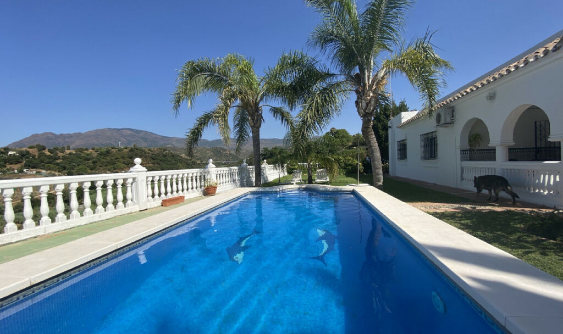 Resale - House -
Estepona