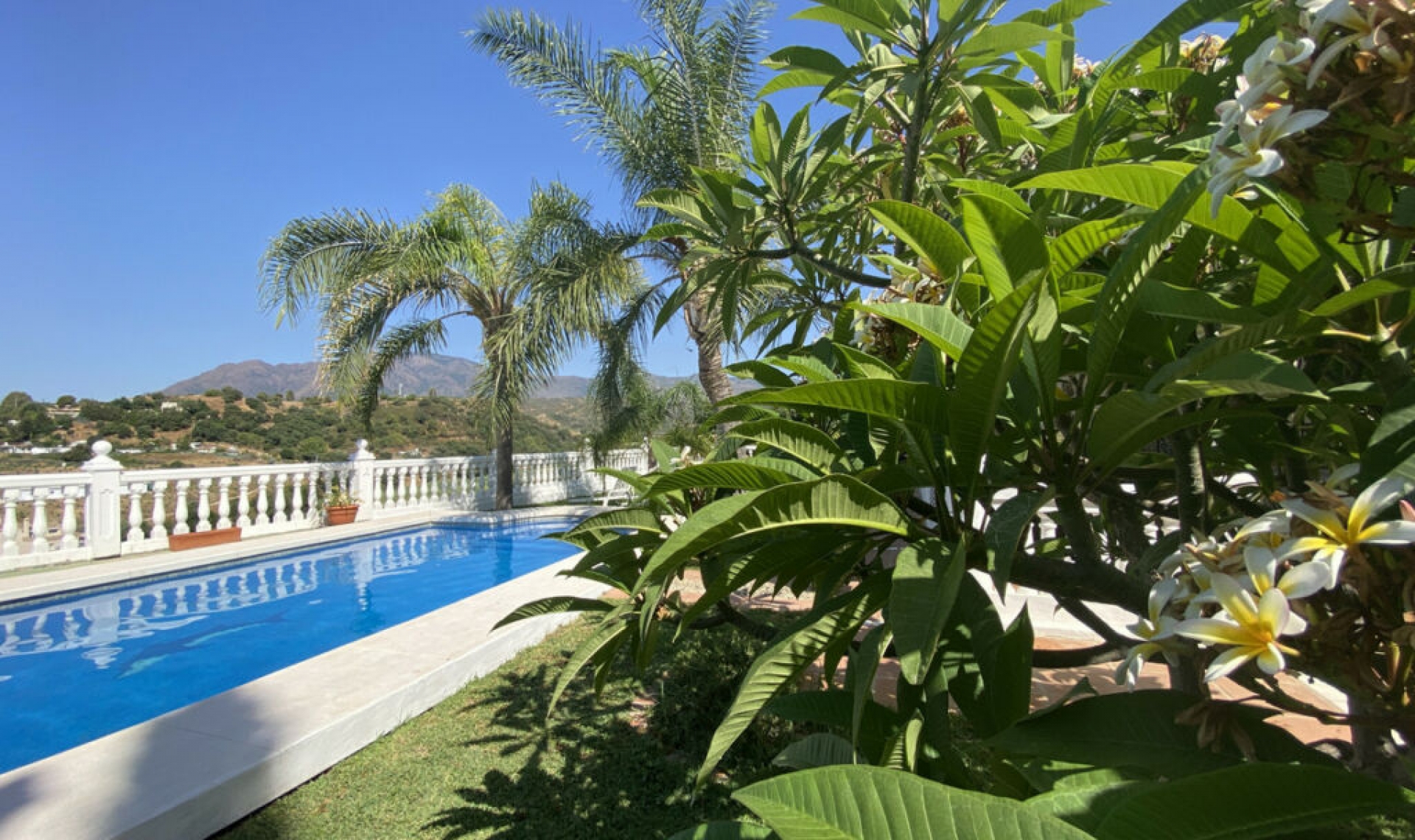 Resale - House -
Estepona