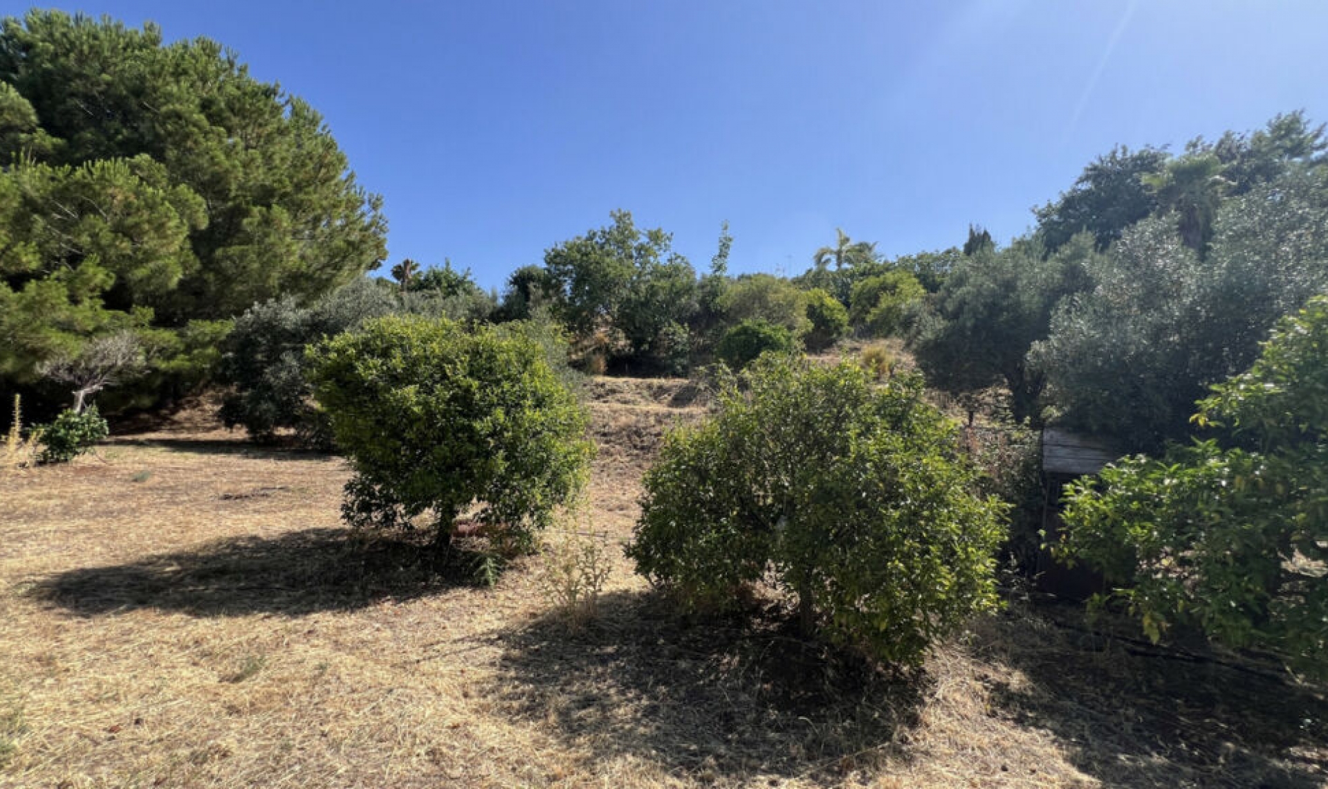 Resale - House -
Estepona