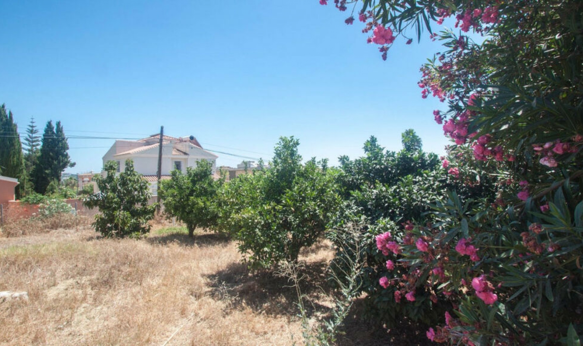 Resale - House -
Estepona