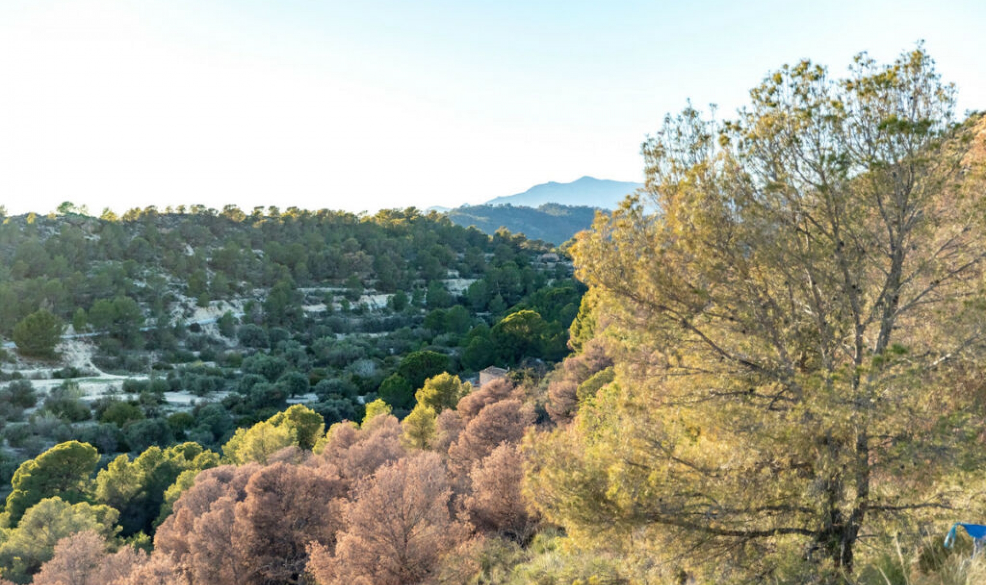 Resale - House -
Finestrat