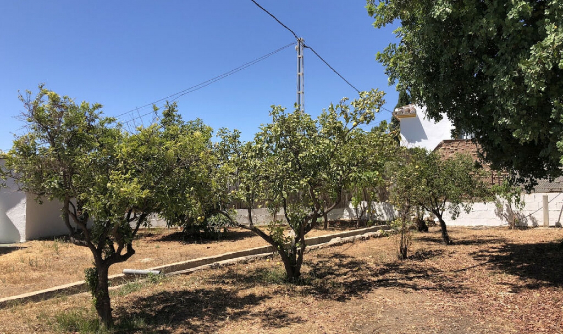 Resale - House -
Frigiliana