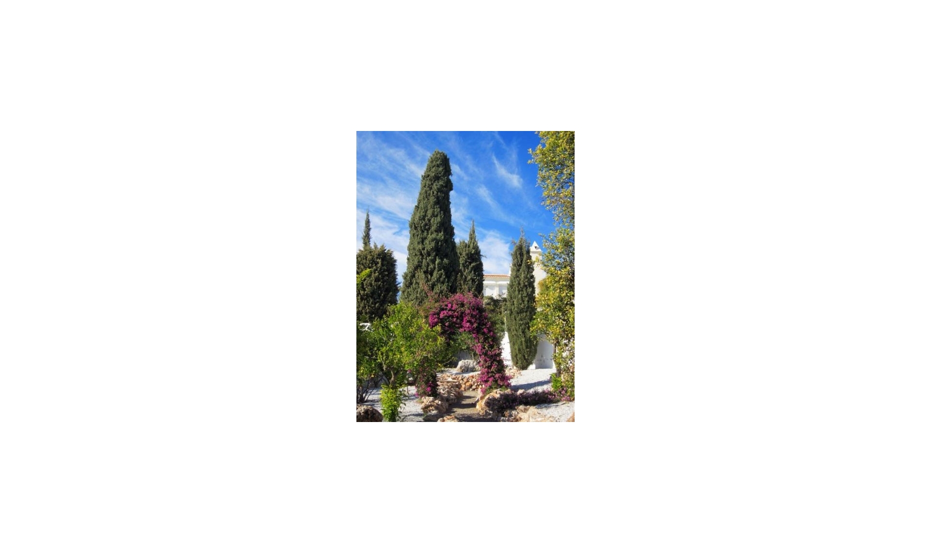 Resale - House -
Frigiliana