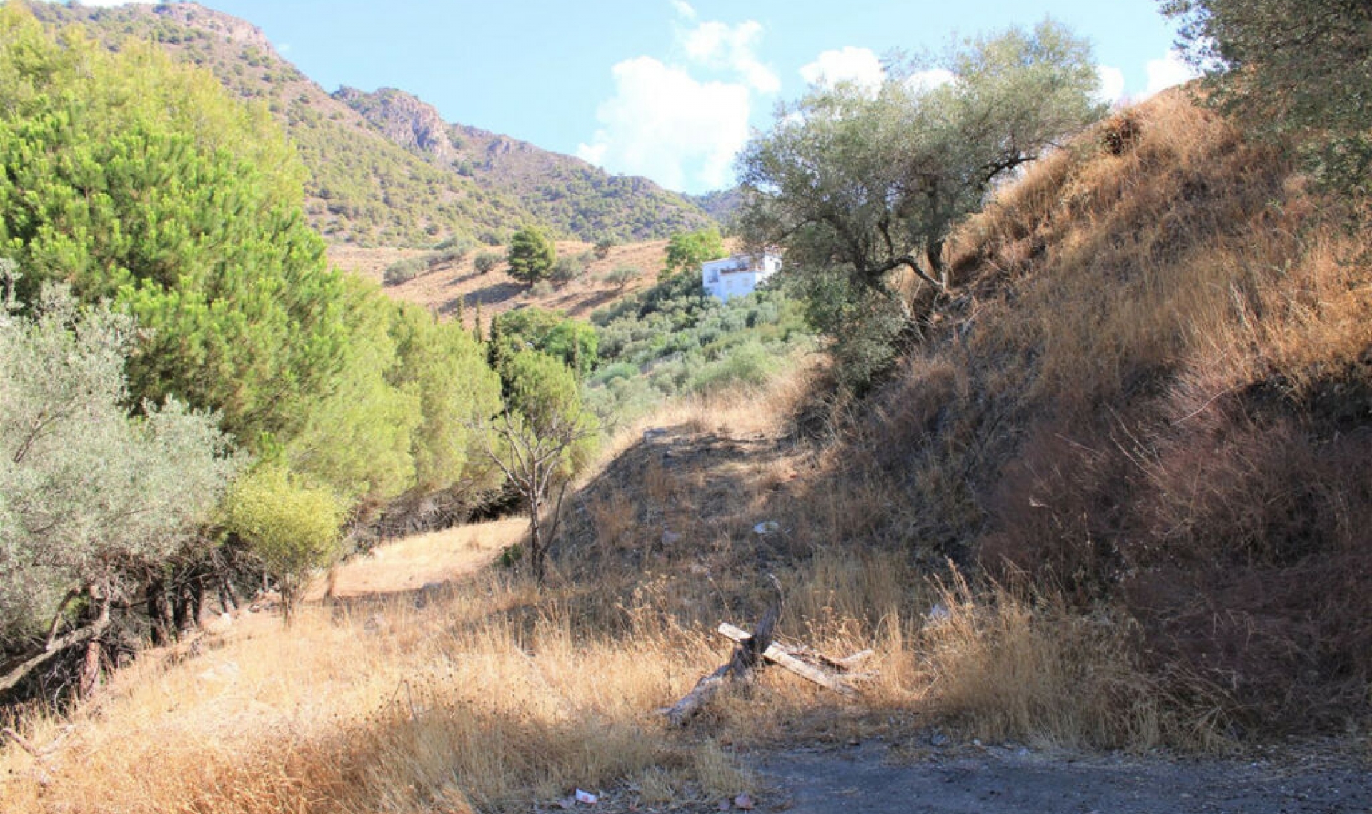 Resale - House -
Frigiliana