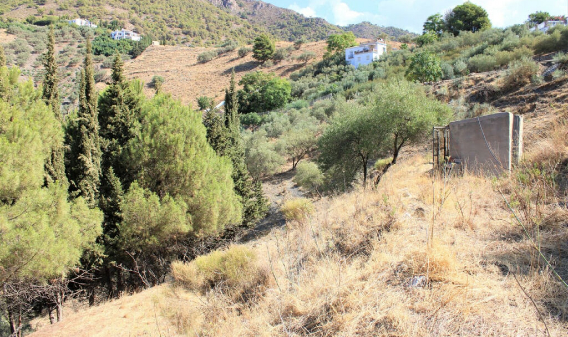Resale - House -
Frigiliana