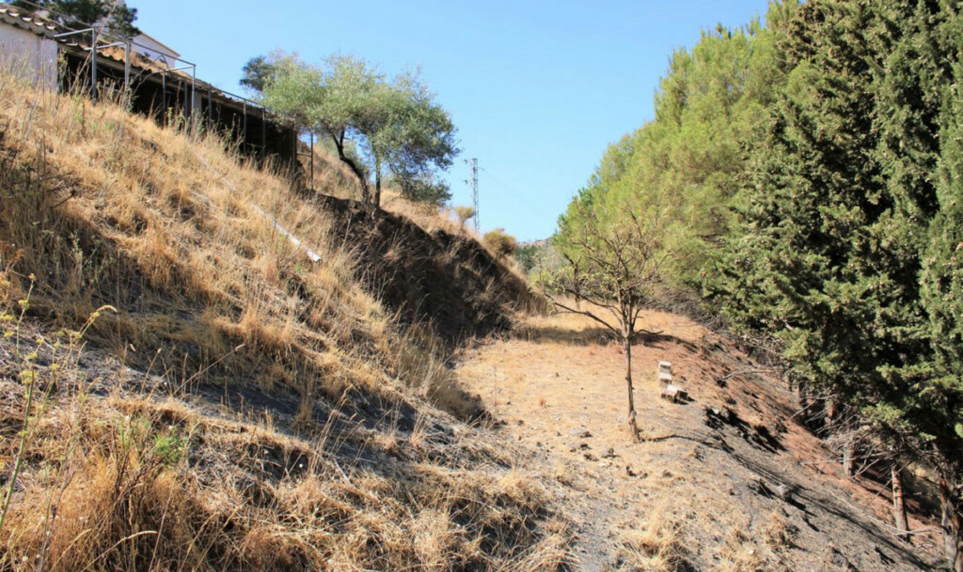 Resale - House -
Frigiliana