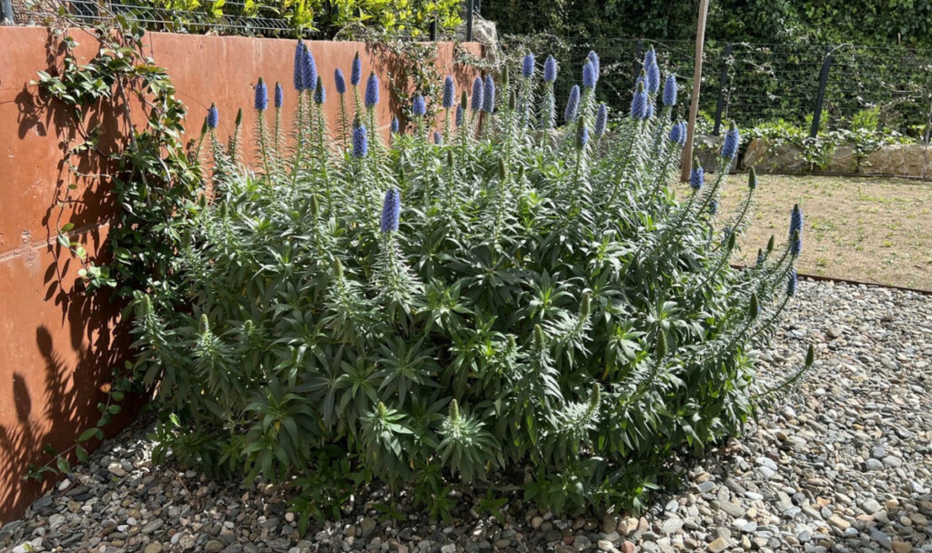 Resale - House -
Fuengirola