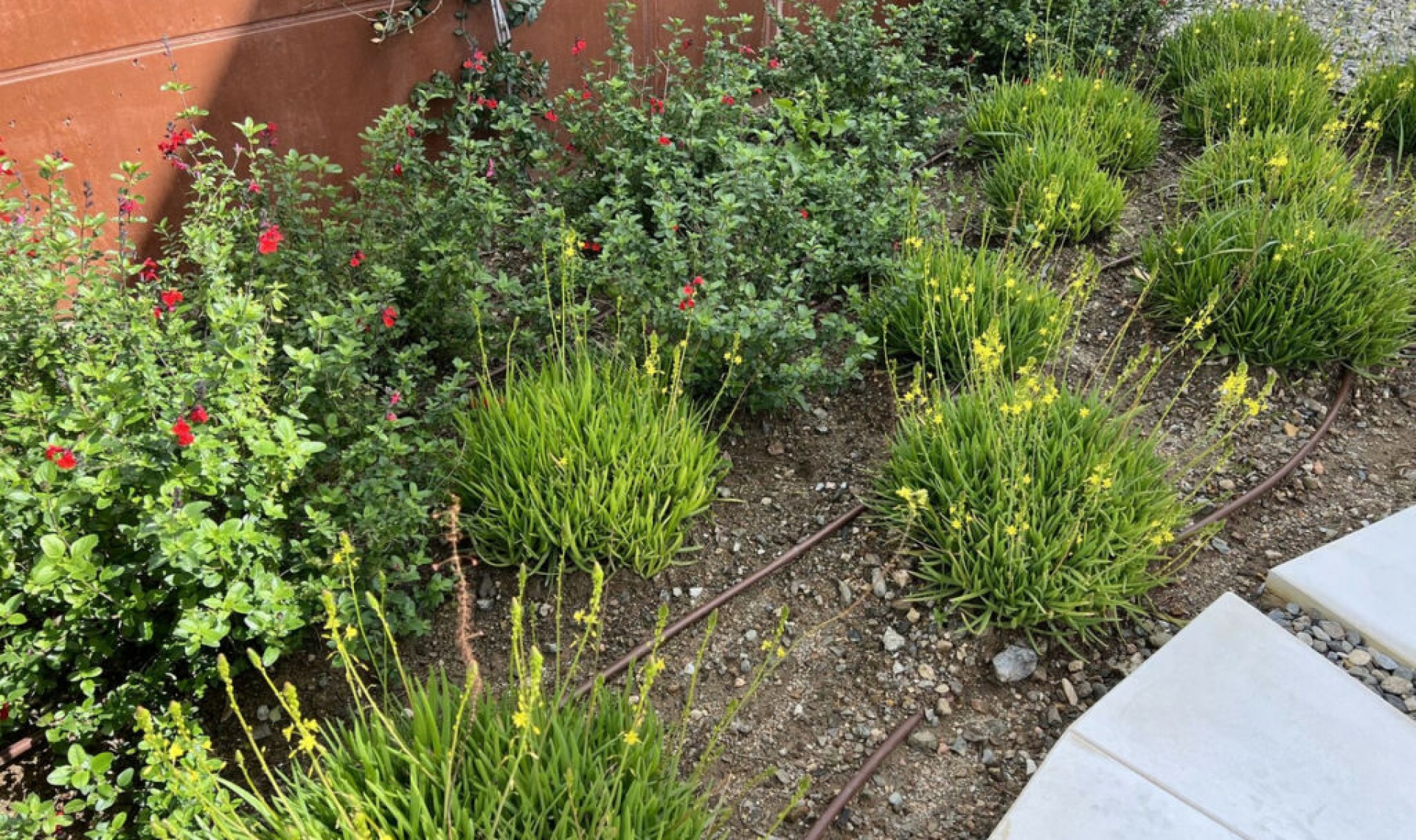 Resale - House -
Fuengirola