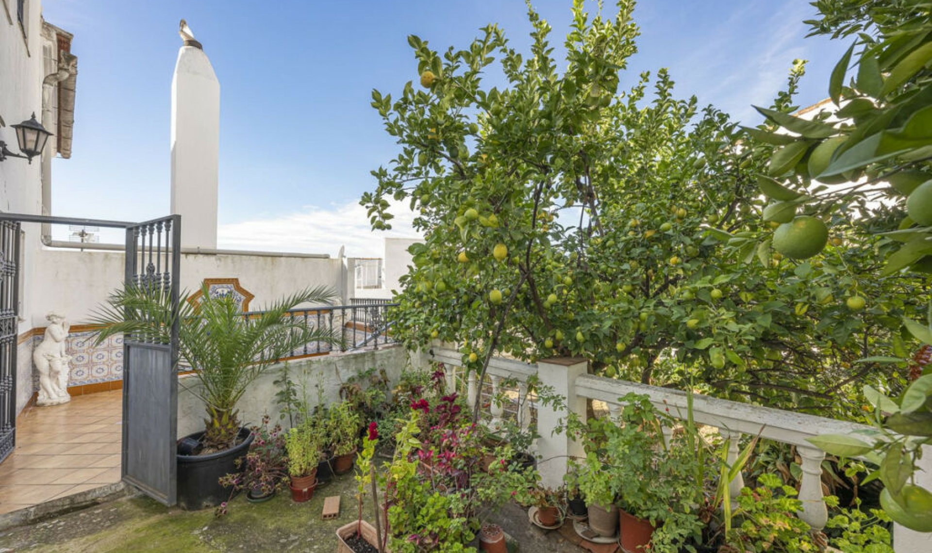 Resale - House -
Gaucín