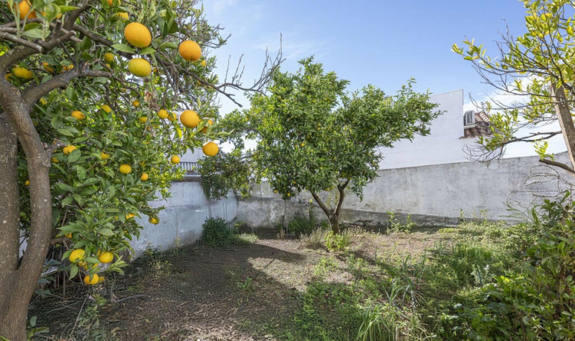 Resale - House -
Gaucín