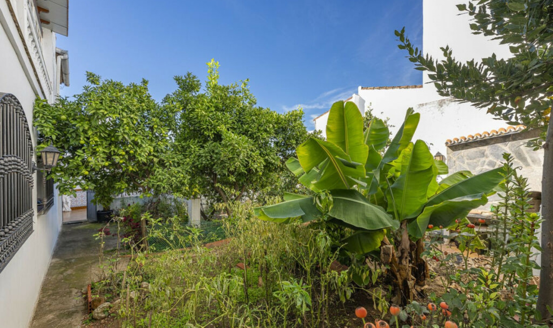 Resale - House -
Gaucín