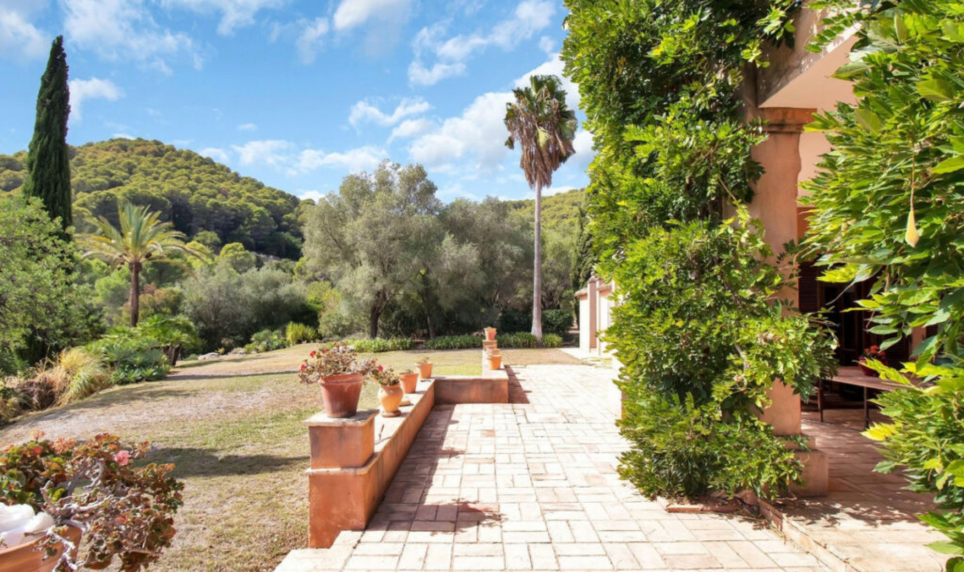 Resale - House -
Gaucín