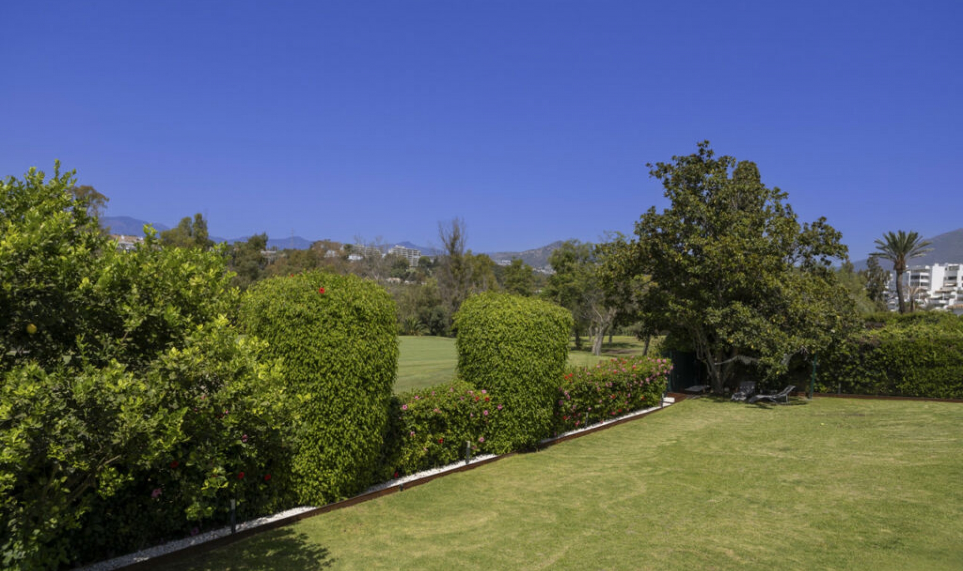 Resale - House -
Guadalmina Alta