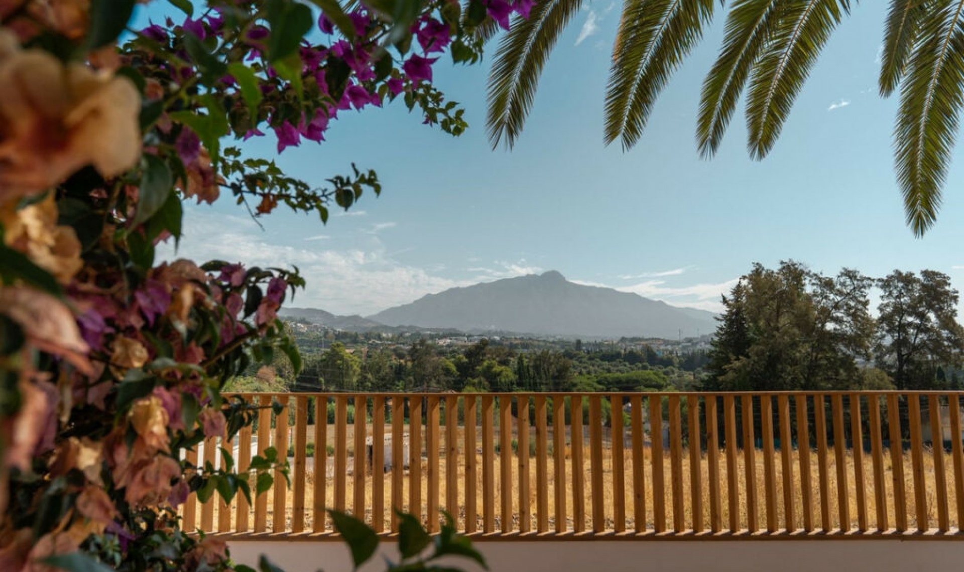 Resale - House -
Guadalmina Alta