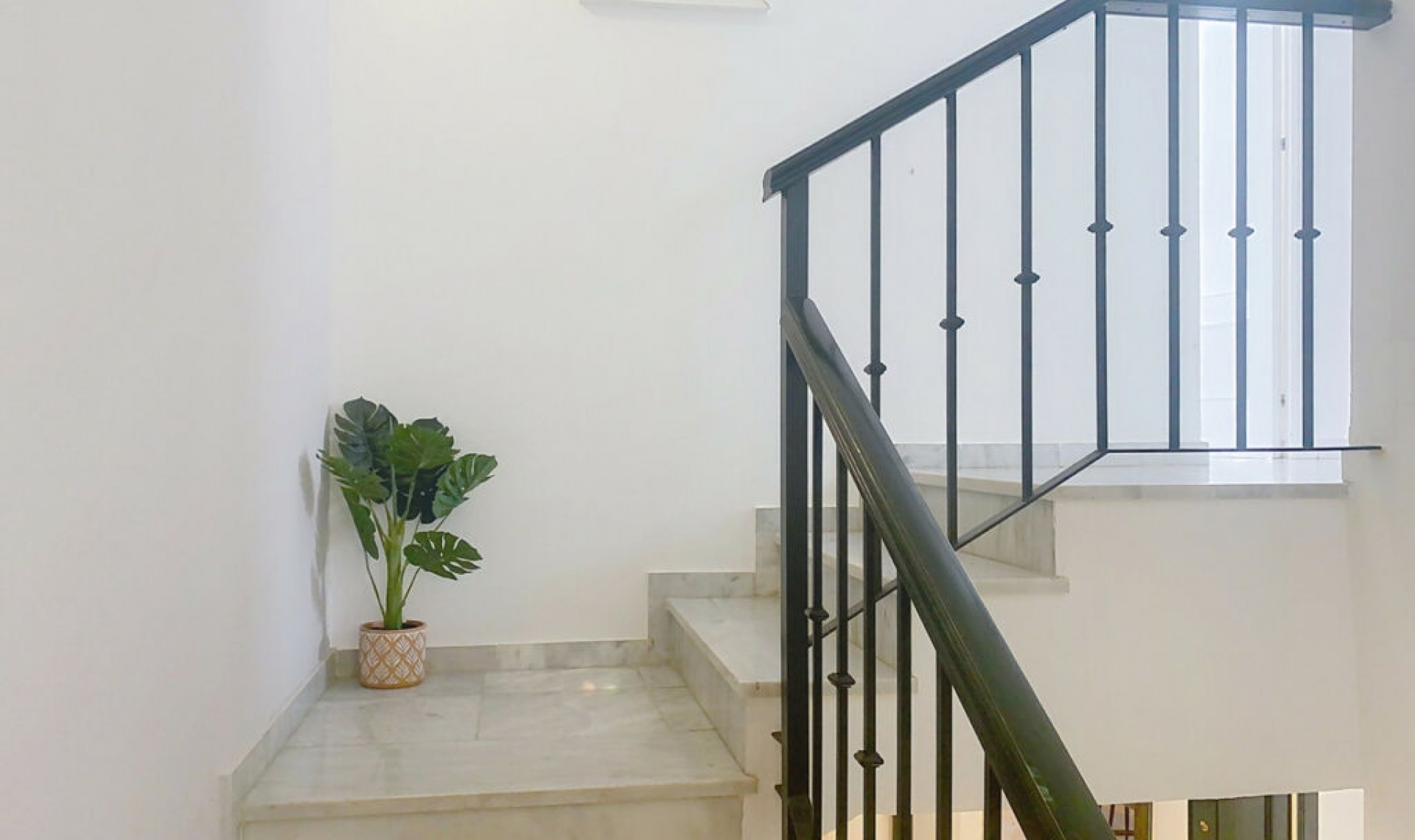 Resale - House -
Guadalmina Alta