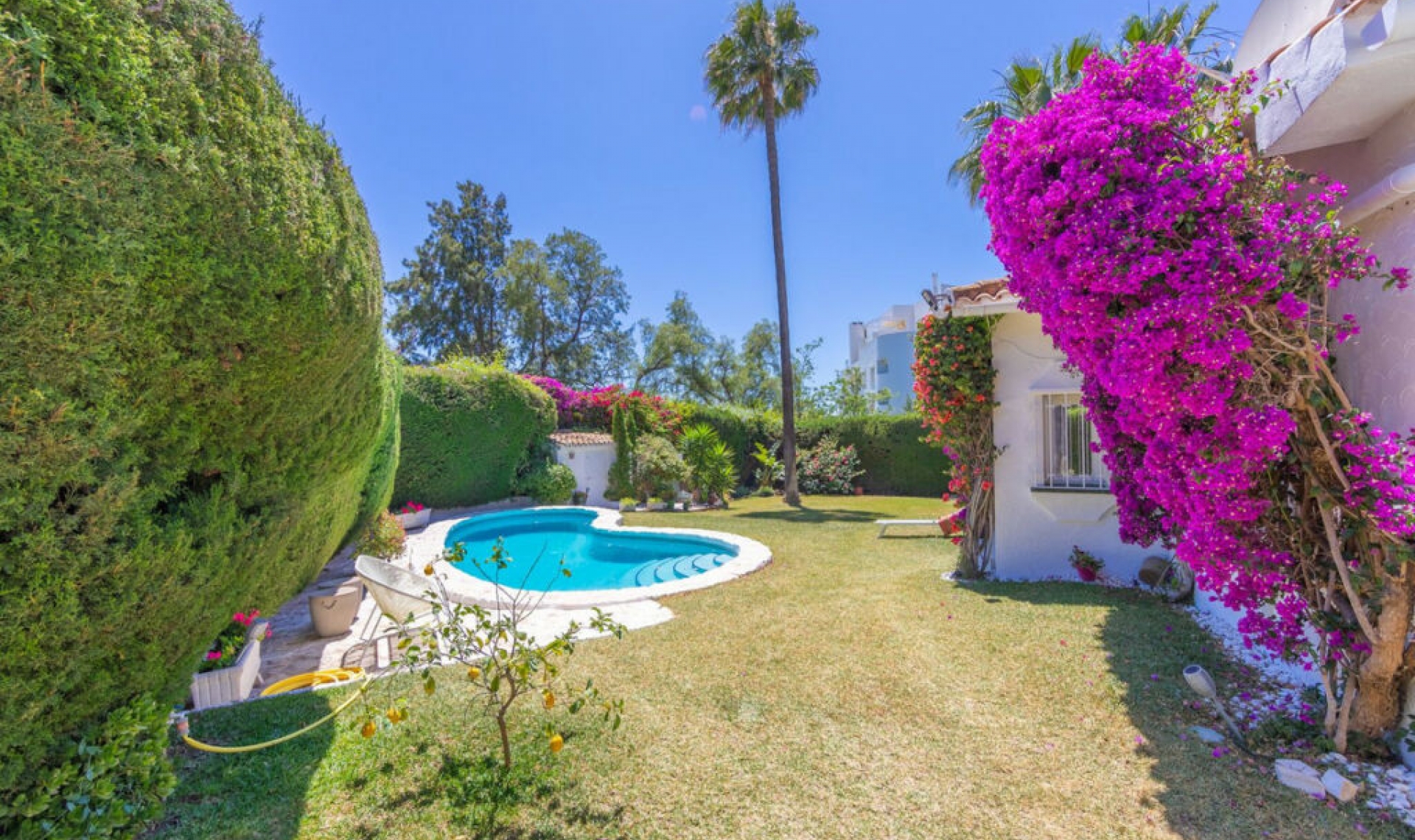 Resale - House -
Guadalmina Alta