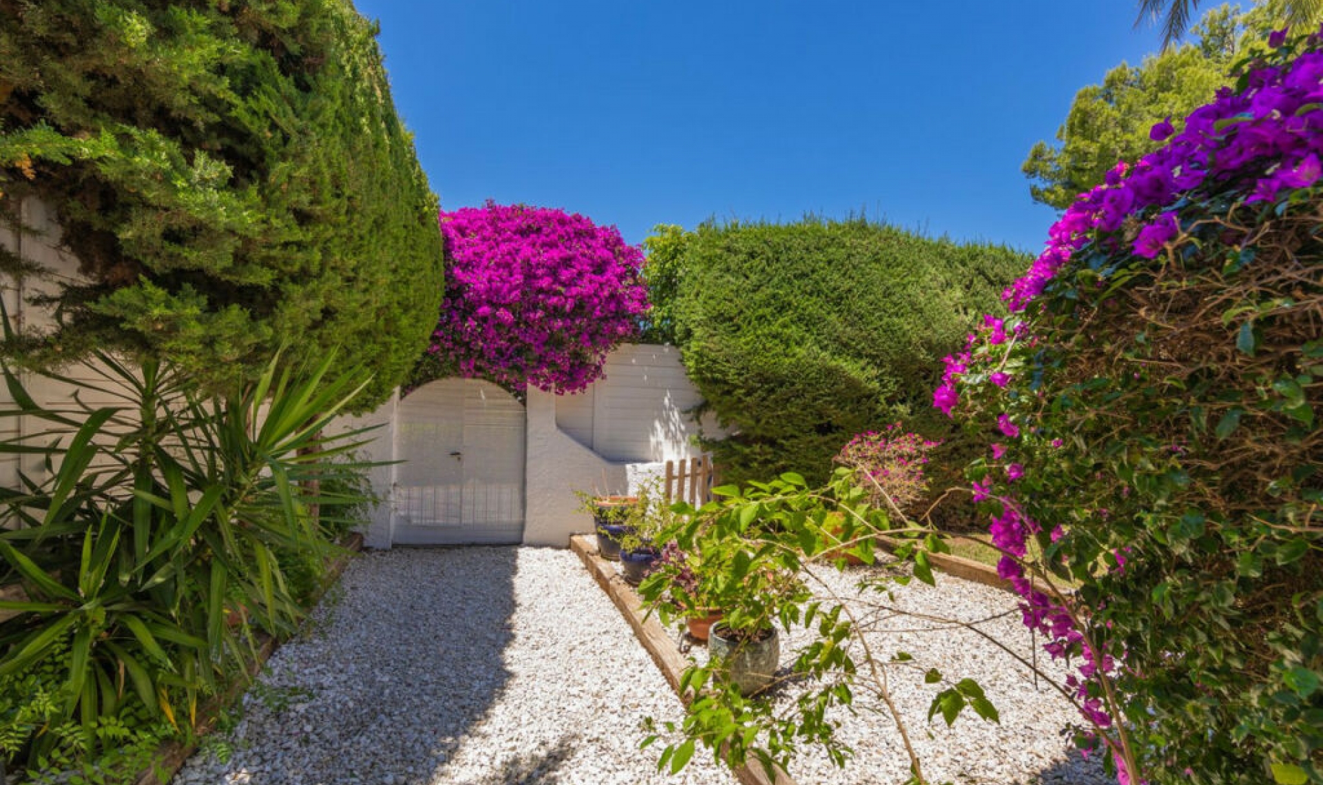 Resale - House -
Guadalmina Alta