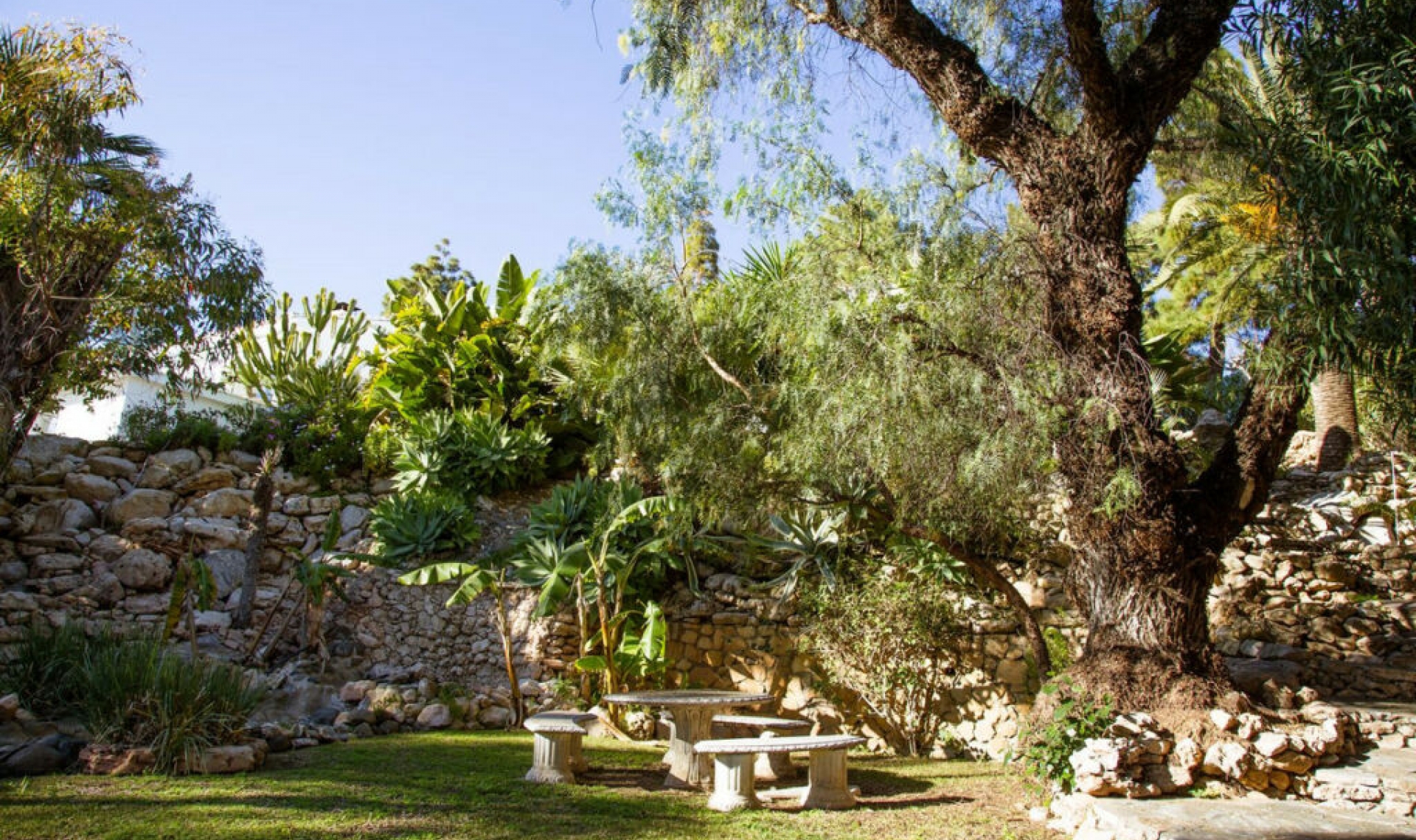 Resale - House -
Hacienda Las Chapas