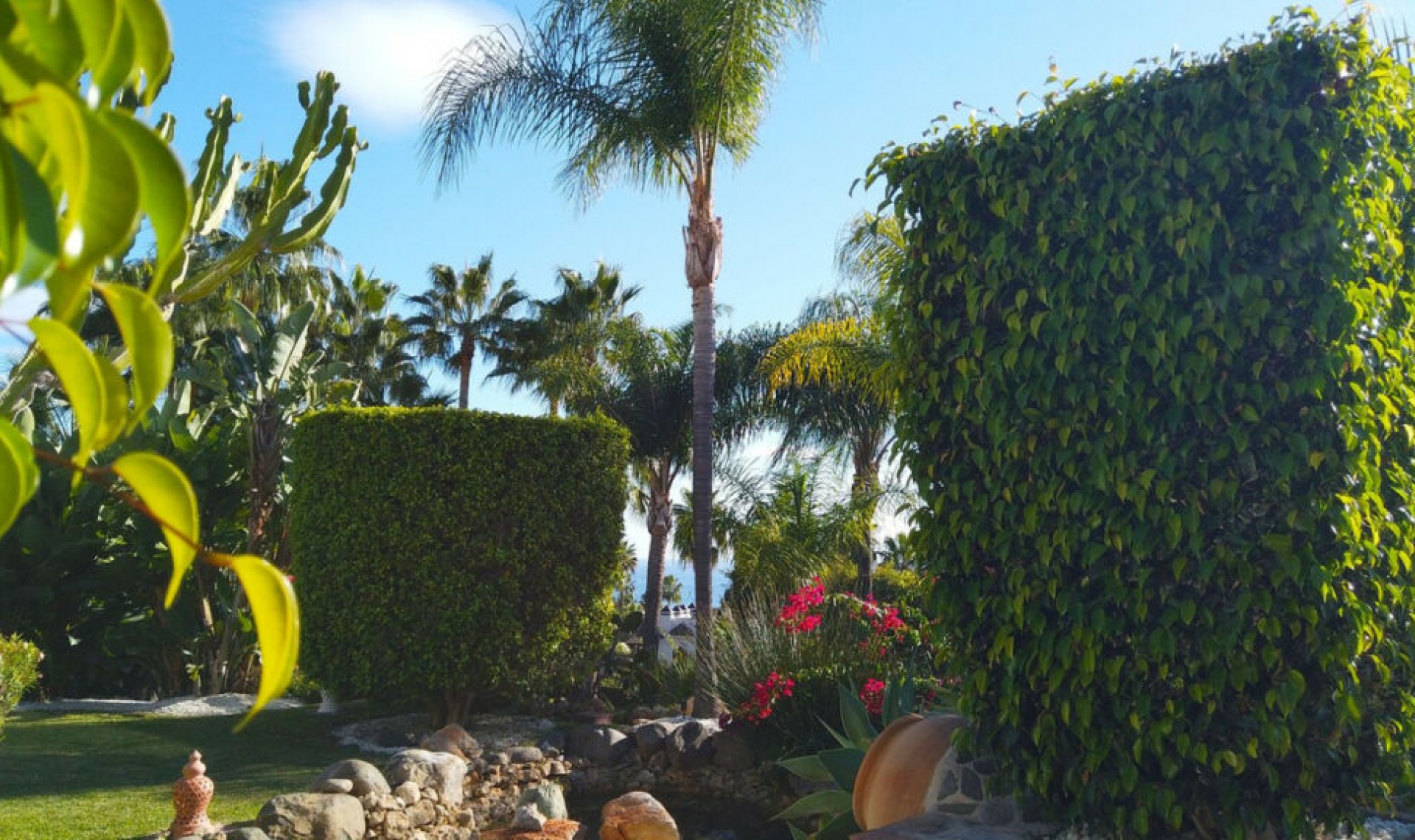 Resale - House -
Hacienda Las Chapas