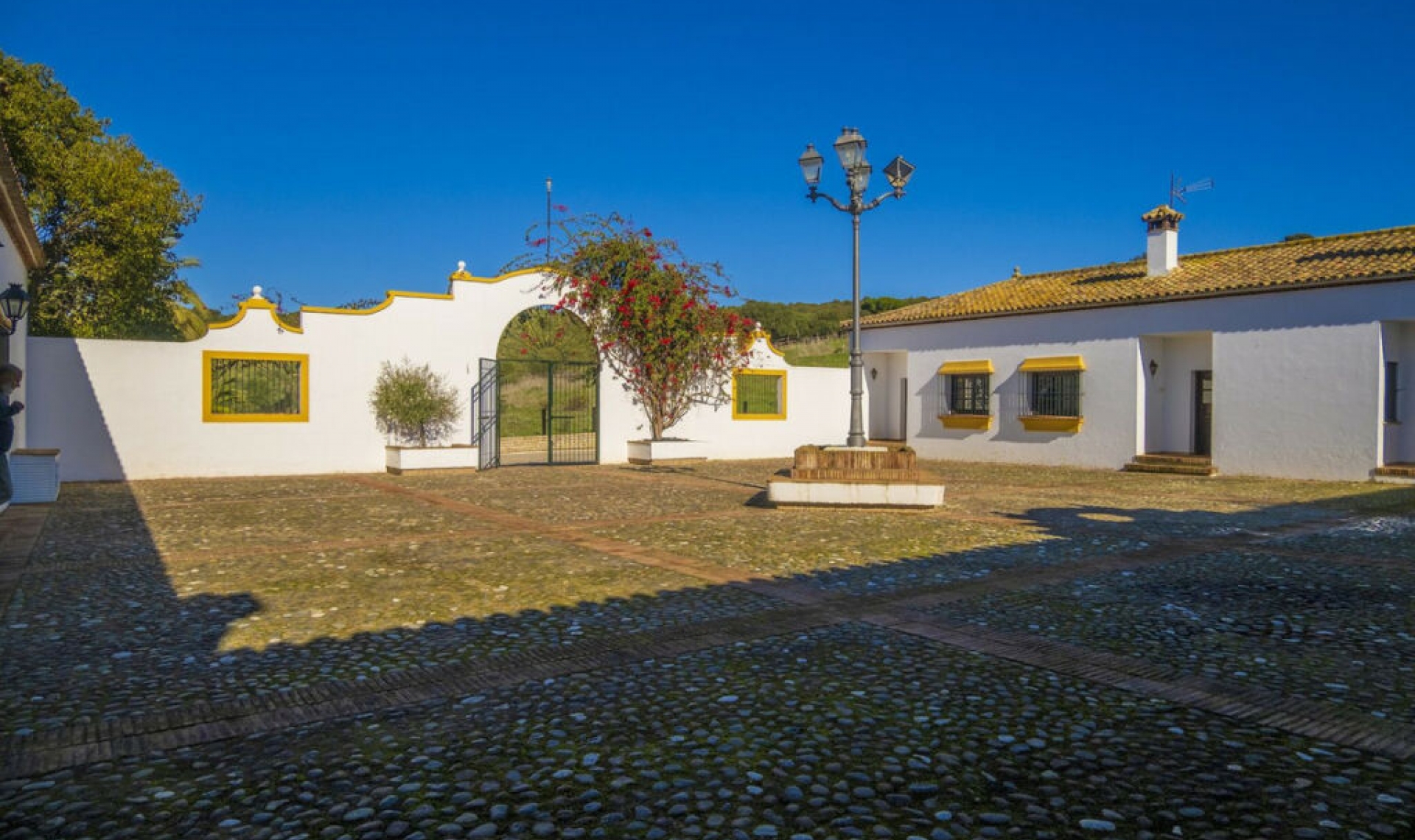Resale - House -
Jimena de la Frontera