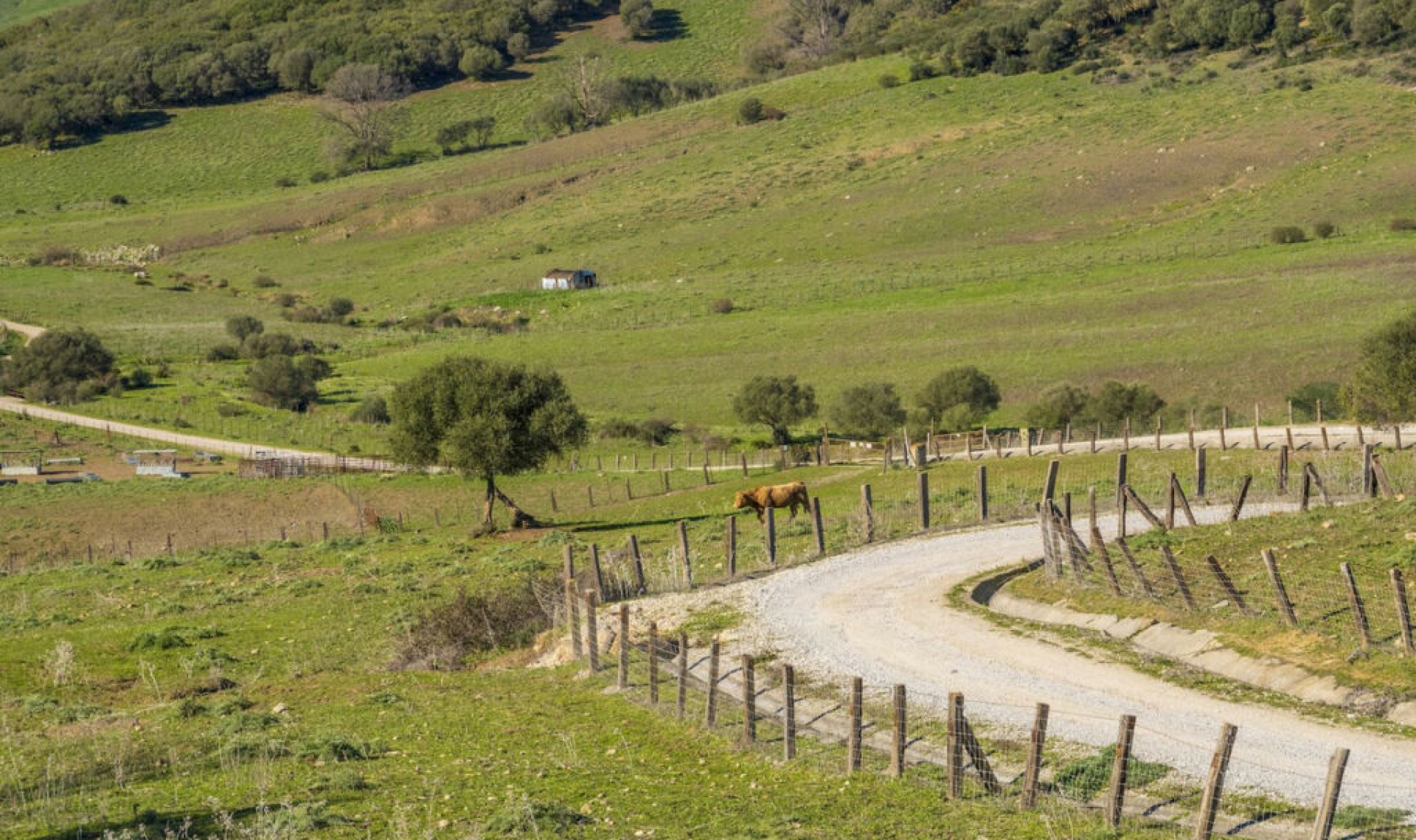 Resale - House -
Jimena de la Frontera