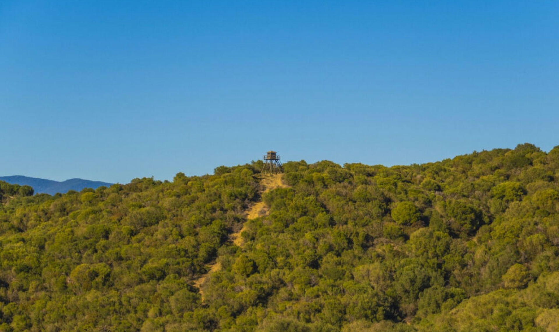 Resale - House -
Jimena de la Frontera