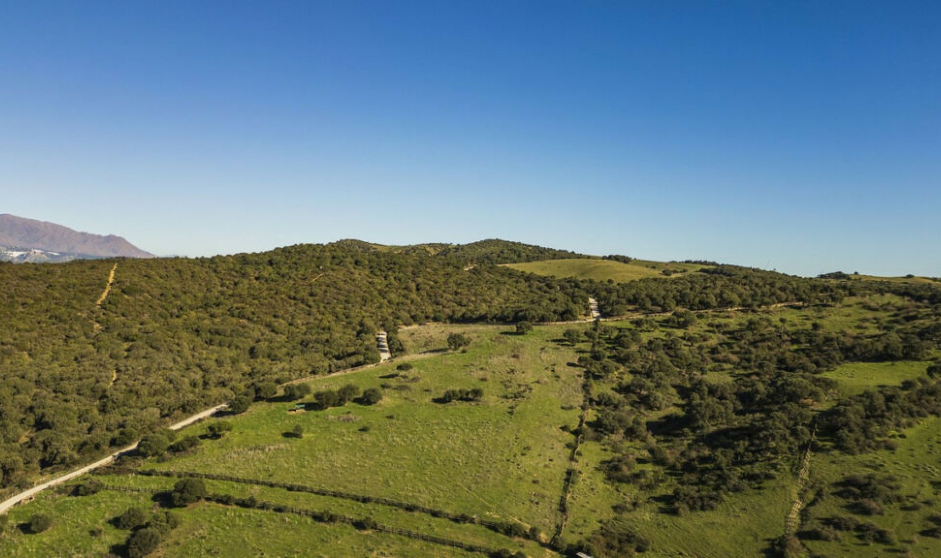 Resale - House -
Jimena de la Frontera