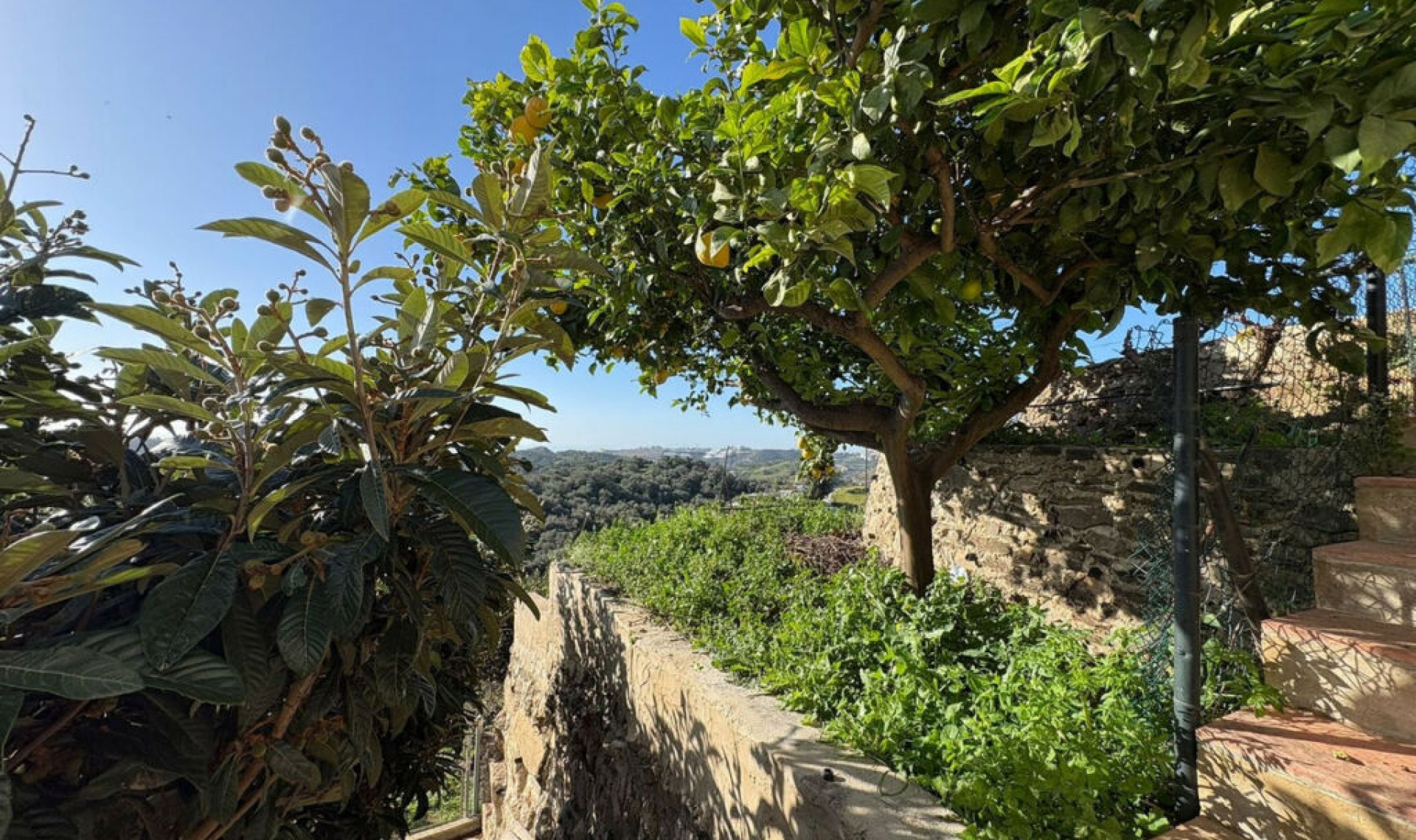 Resale - House -
La Cala de Mijas