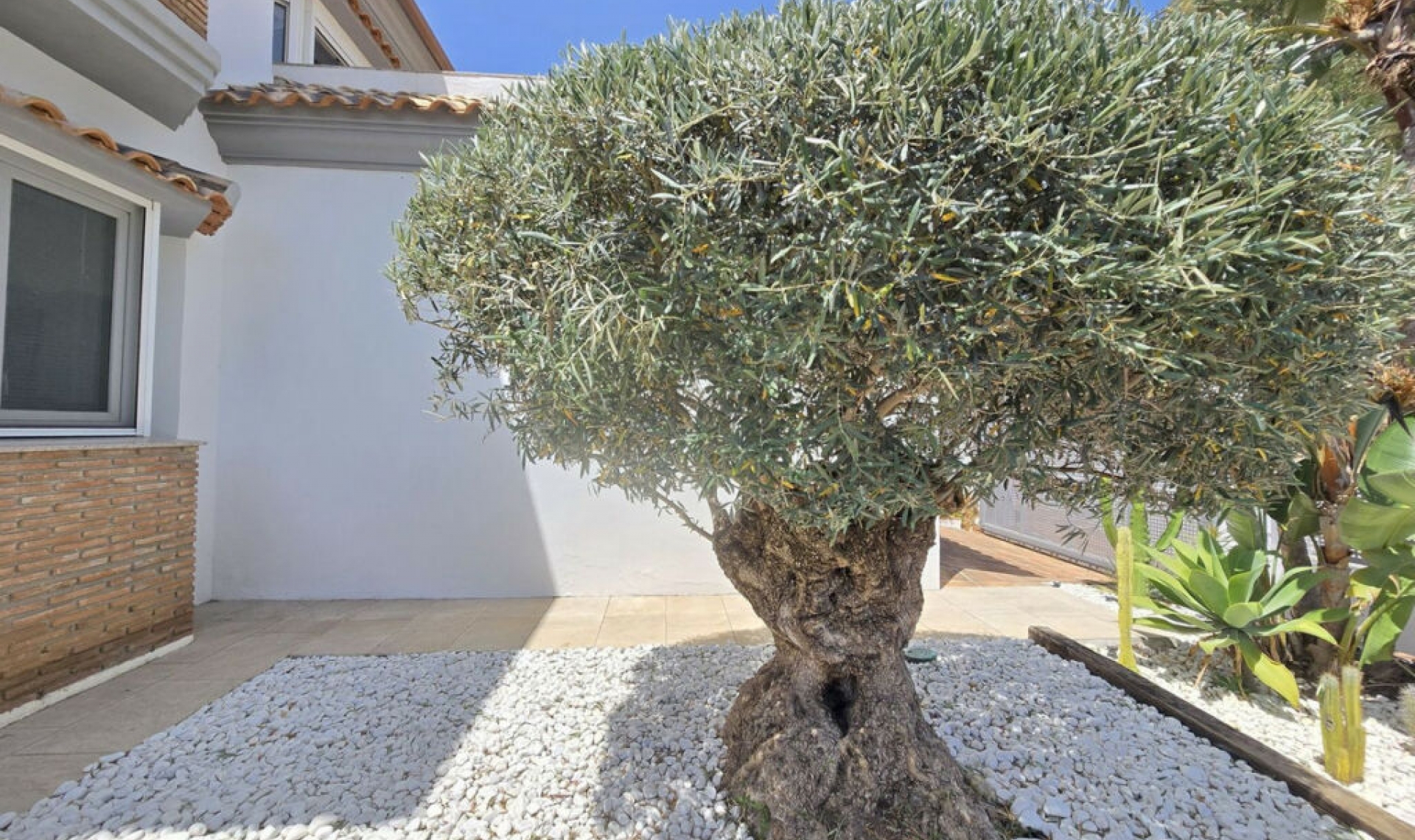 Resale - House -
La Cala Golf